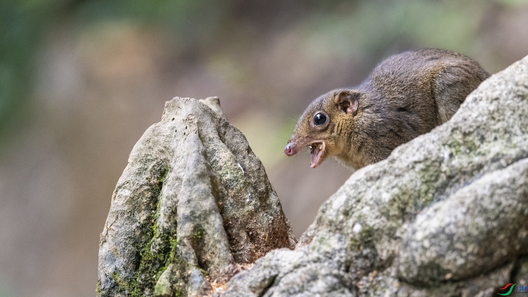 DSC_3424_1.jpg