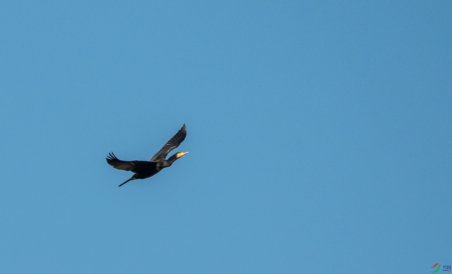DSC_3061.jpg