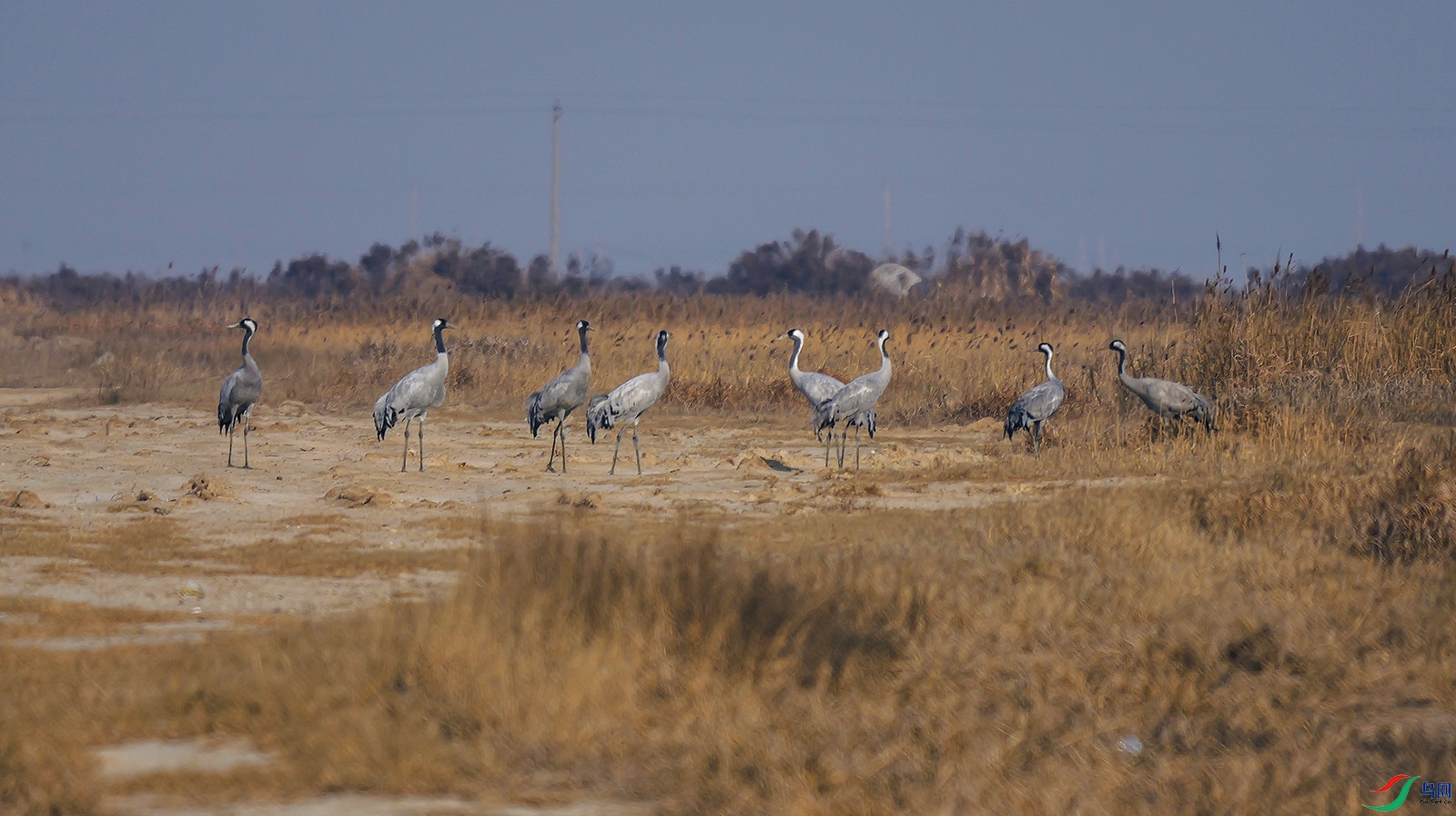 ��������ɺ�-01-1600.jpg