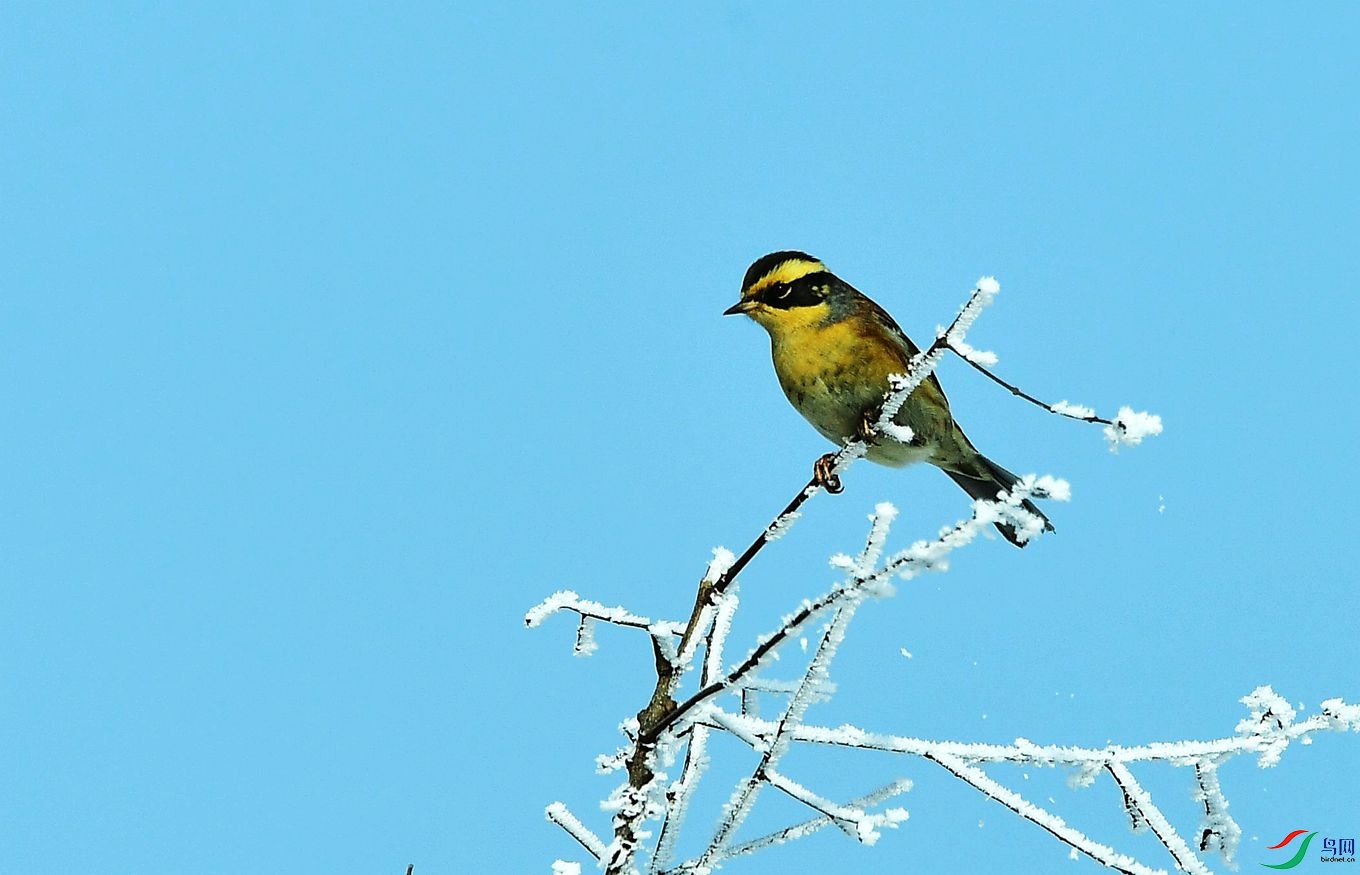 DSC_3551.JPG