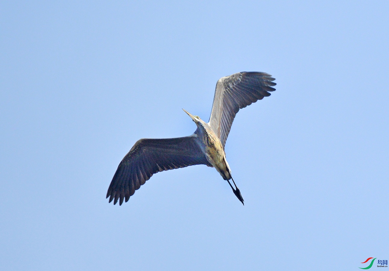 DSC_0094.jpg