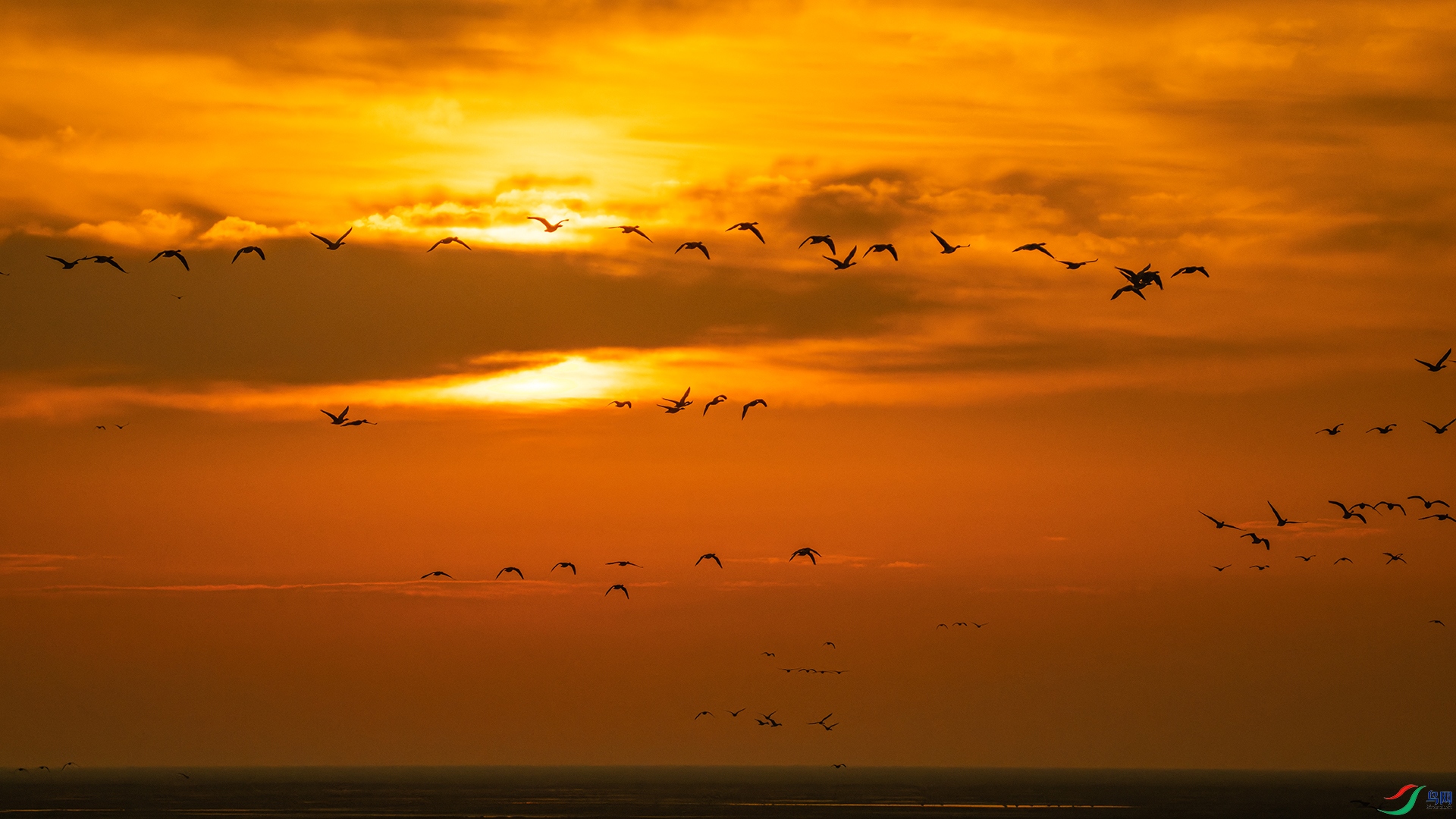 _DSC8013С.jpg