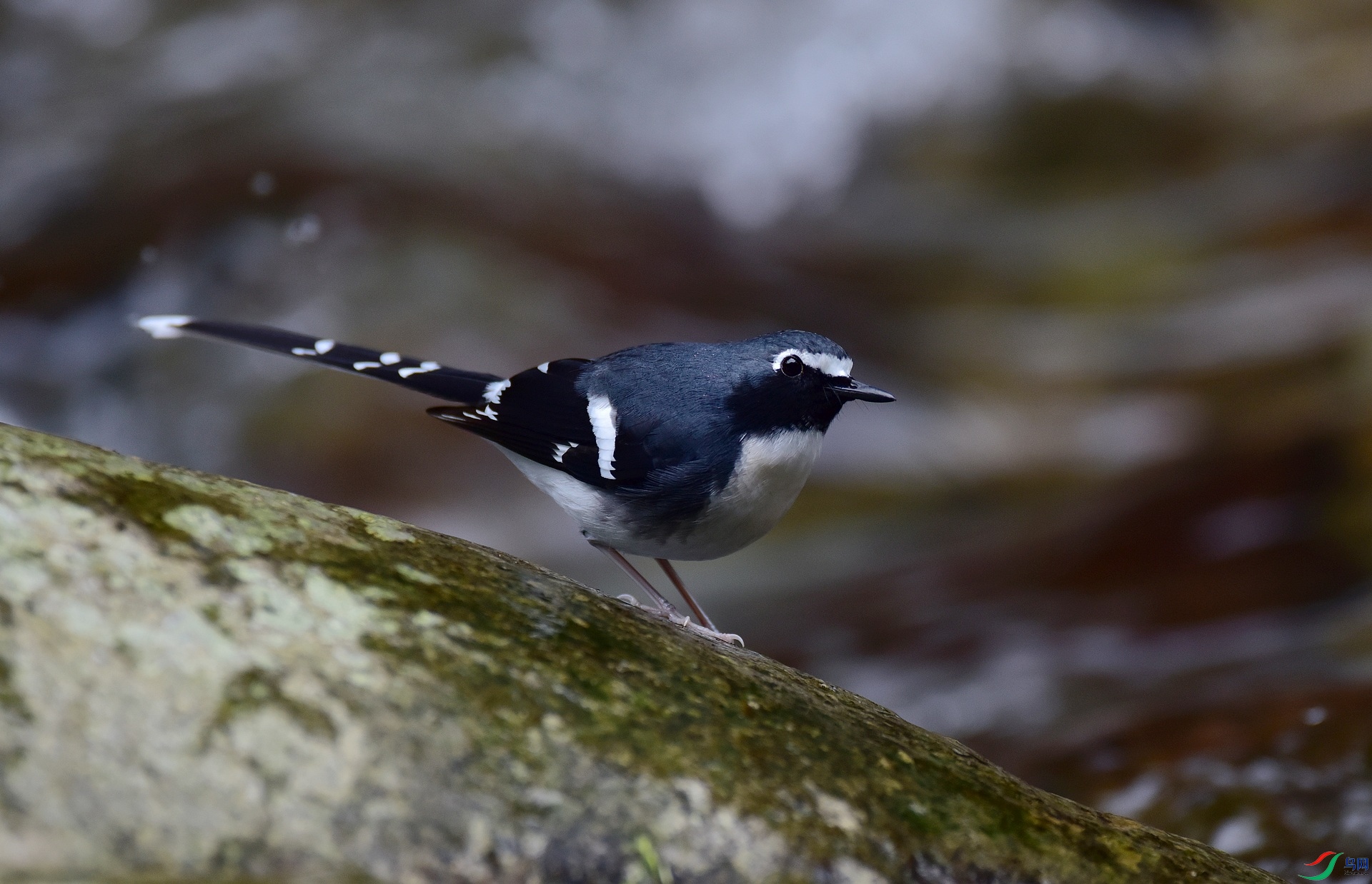D8I_0482.jpg