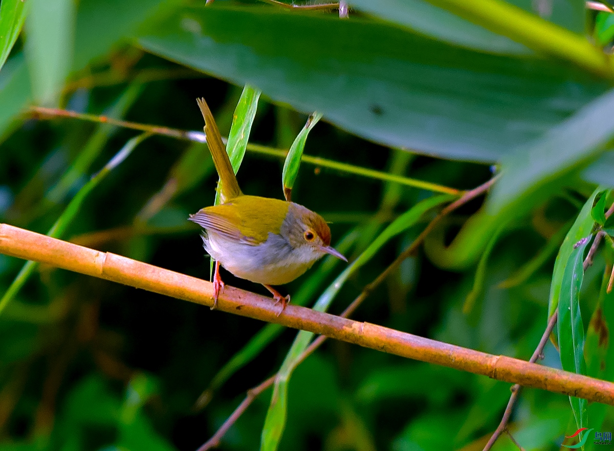 DSC_0246.JPG