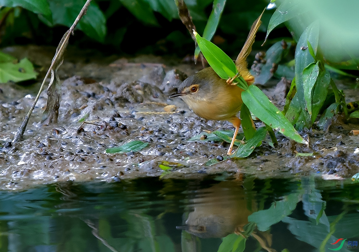DSC_0733.JPG