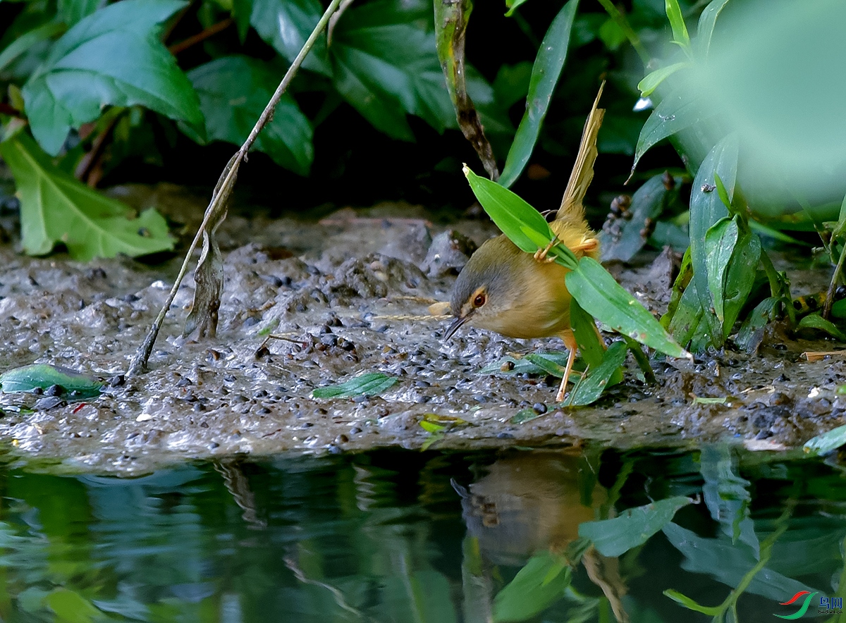 DSC_0734.JPG