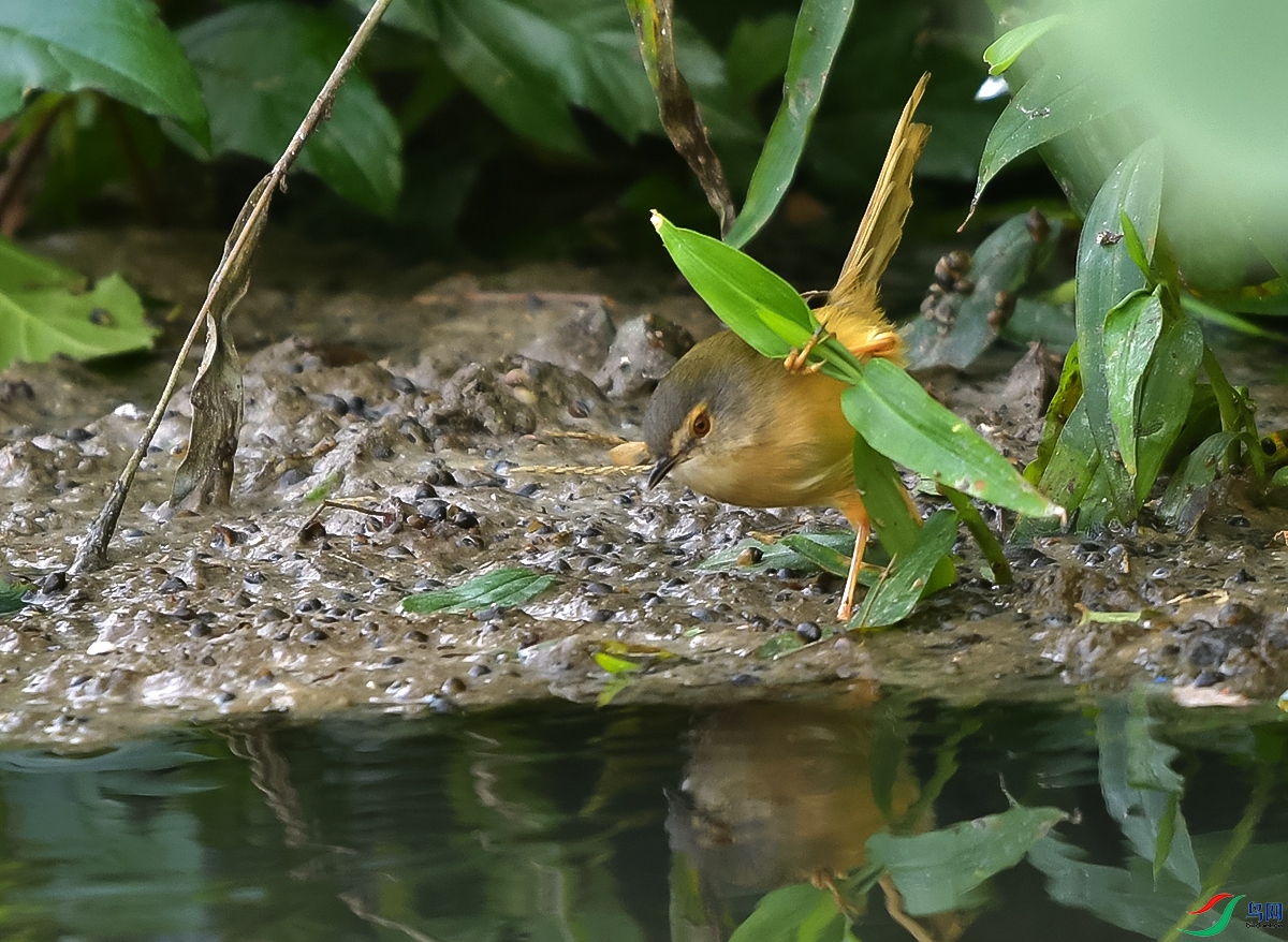 DSC_0736.JPG