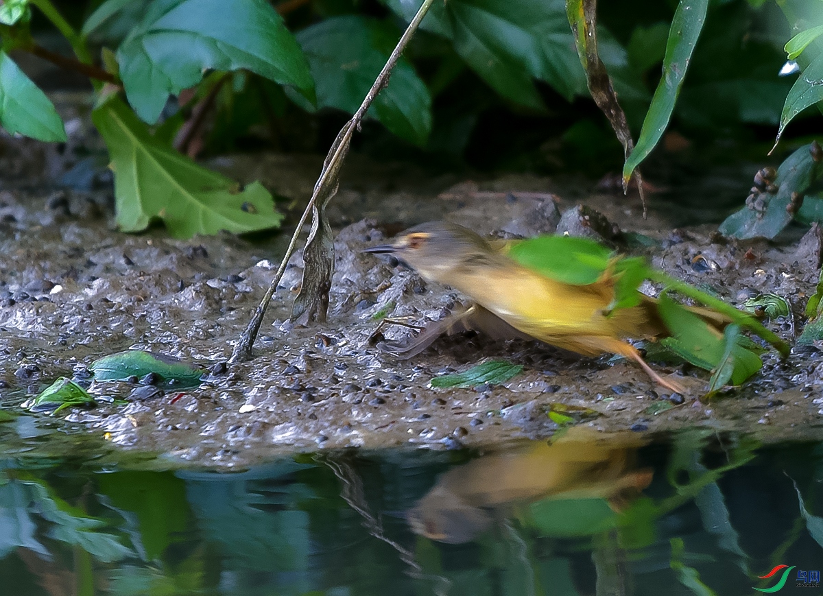 DSC_0738.JPG