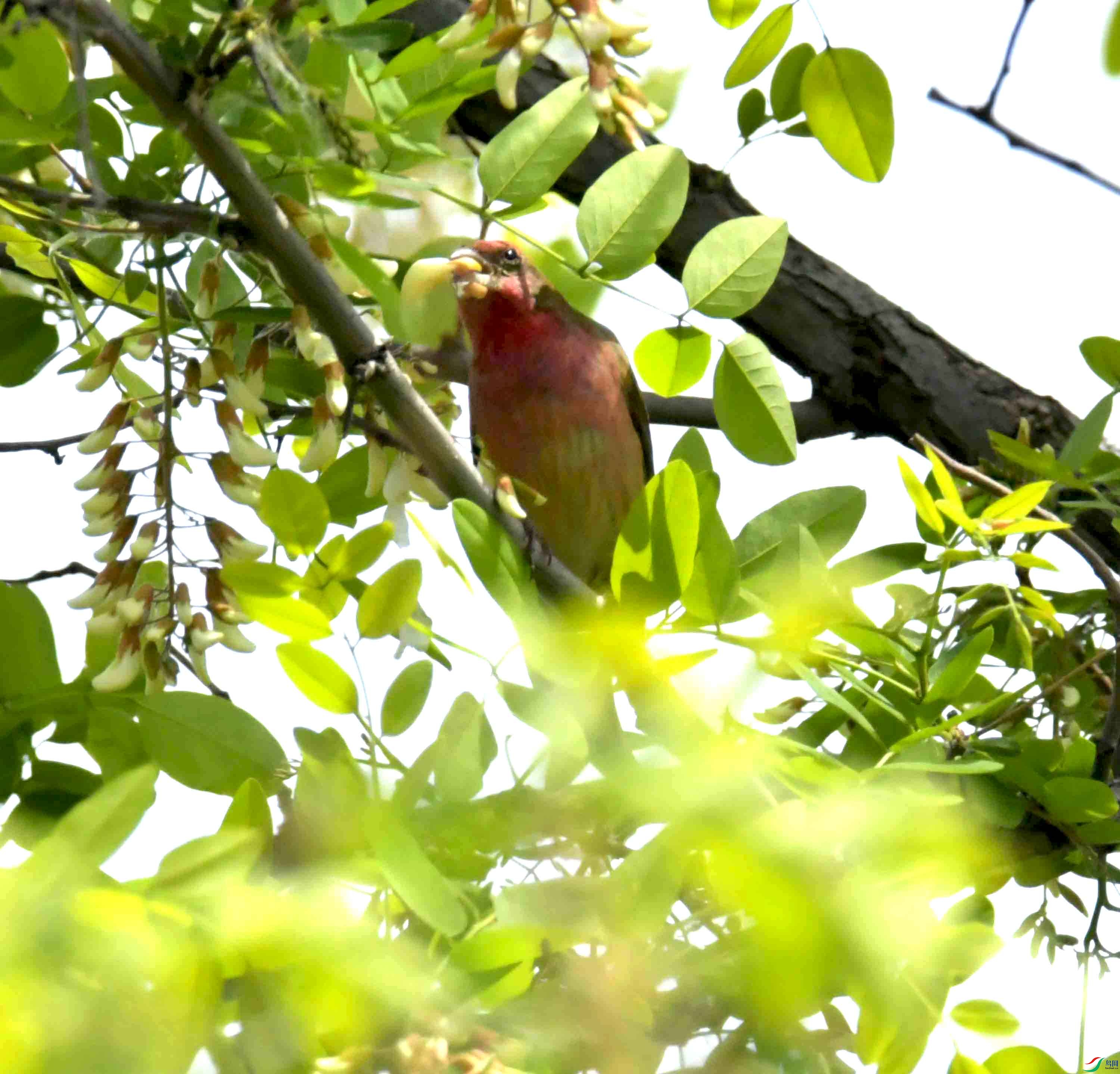 DSC_8118.JPG