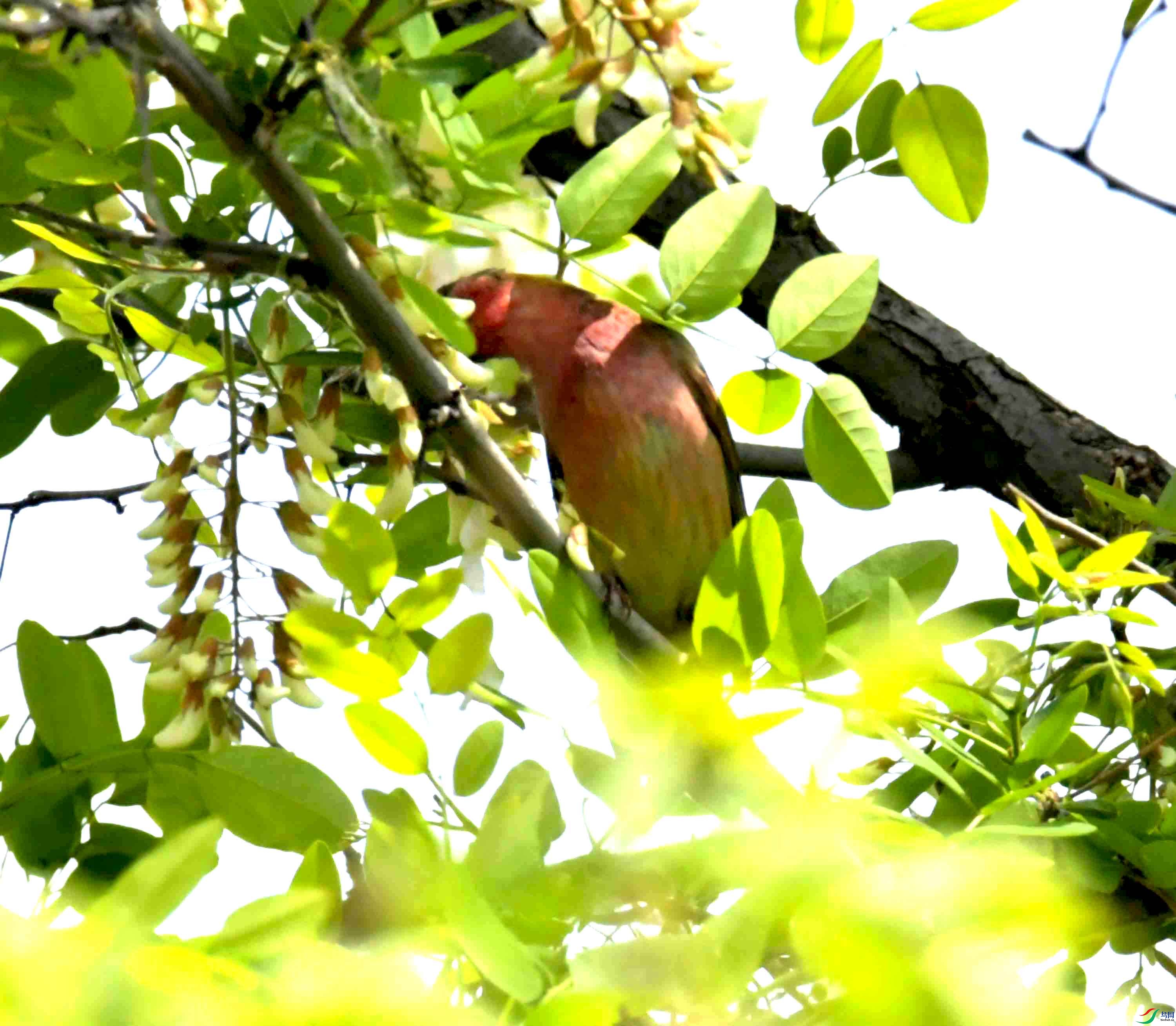 DSC_8116.JPG