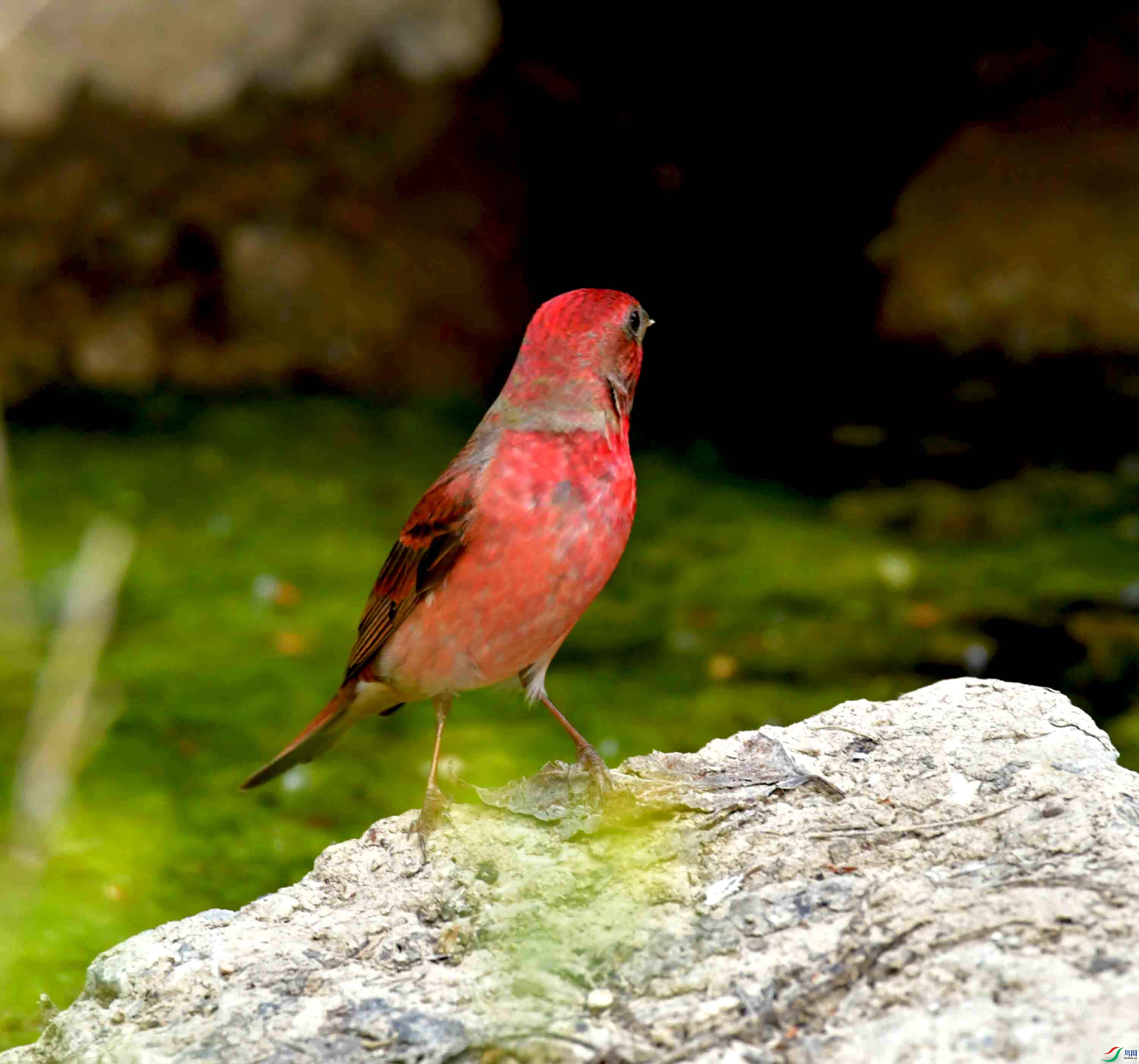 DSC_8763.JPG