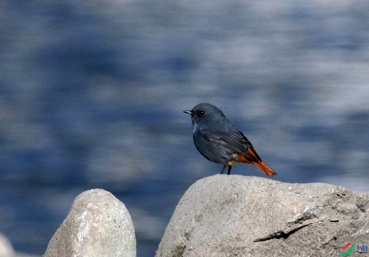 A0921��βˮ�-22.JPG