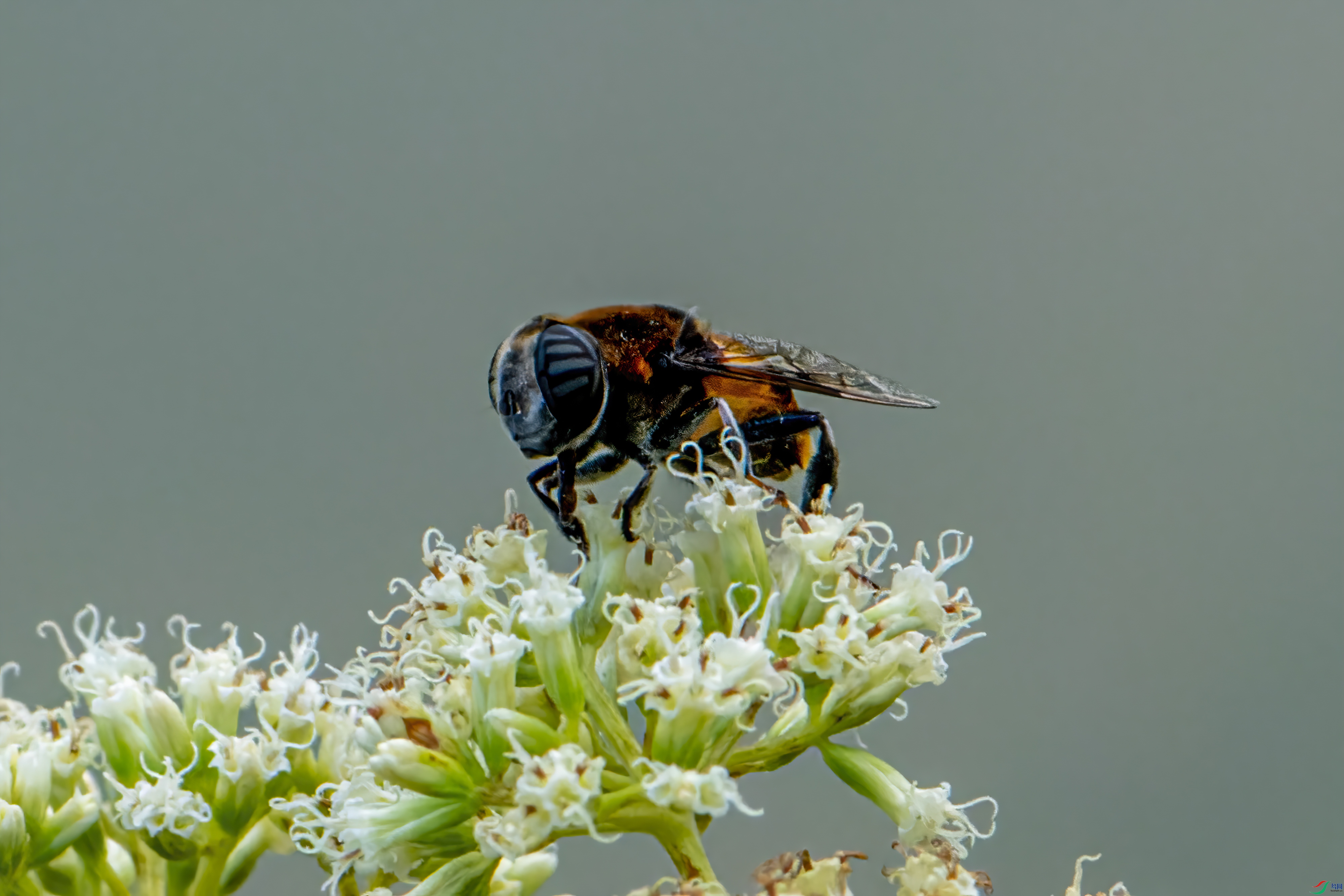DSC_5925-2.jpg