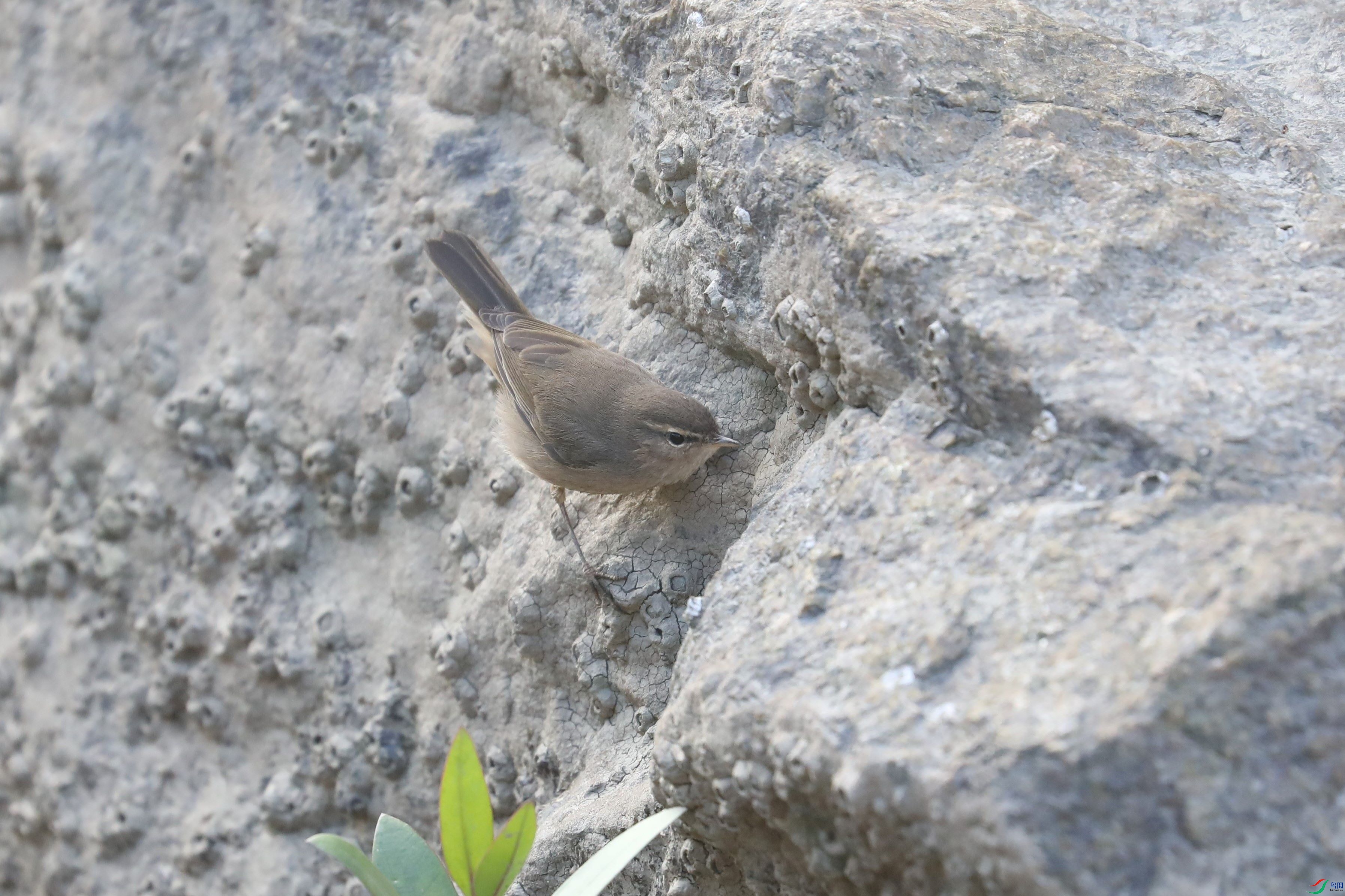 BL7A9861.JPG