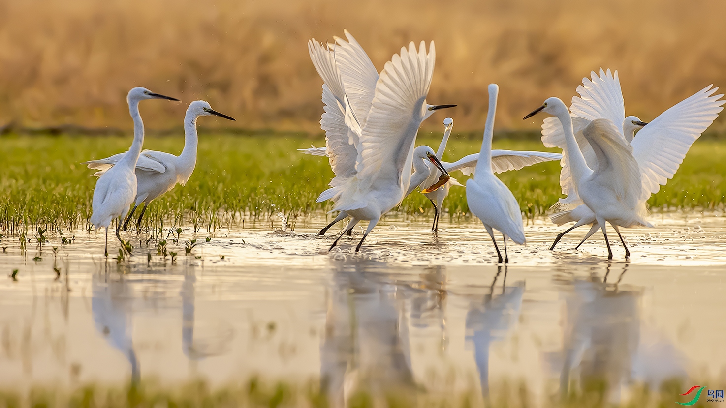 ��Ľ������