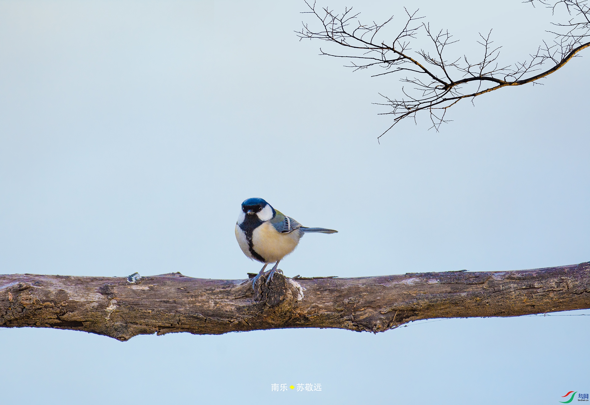 _DSC3656С.jpg