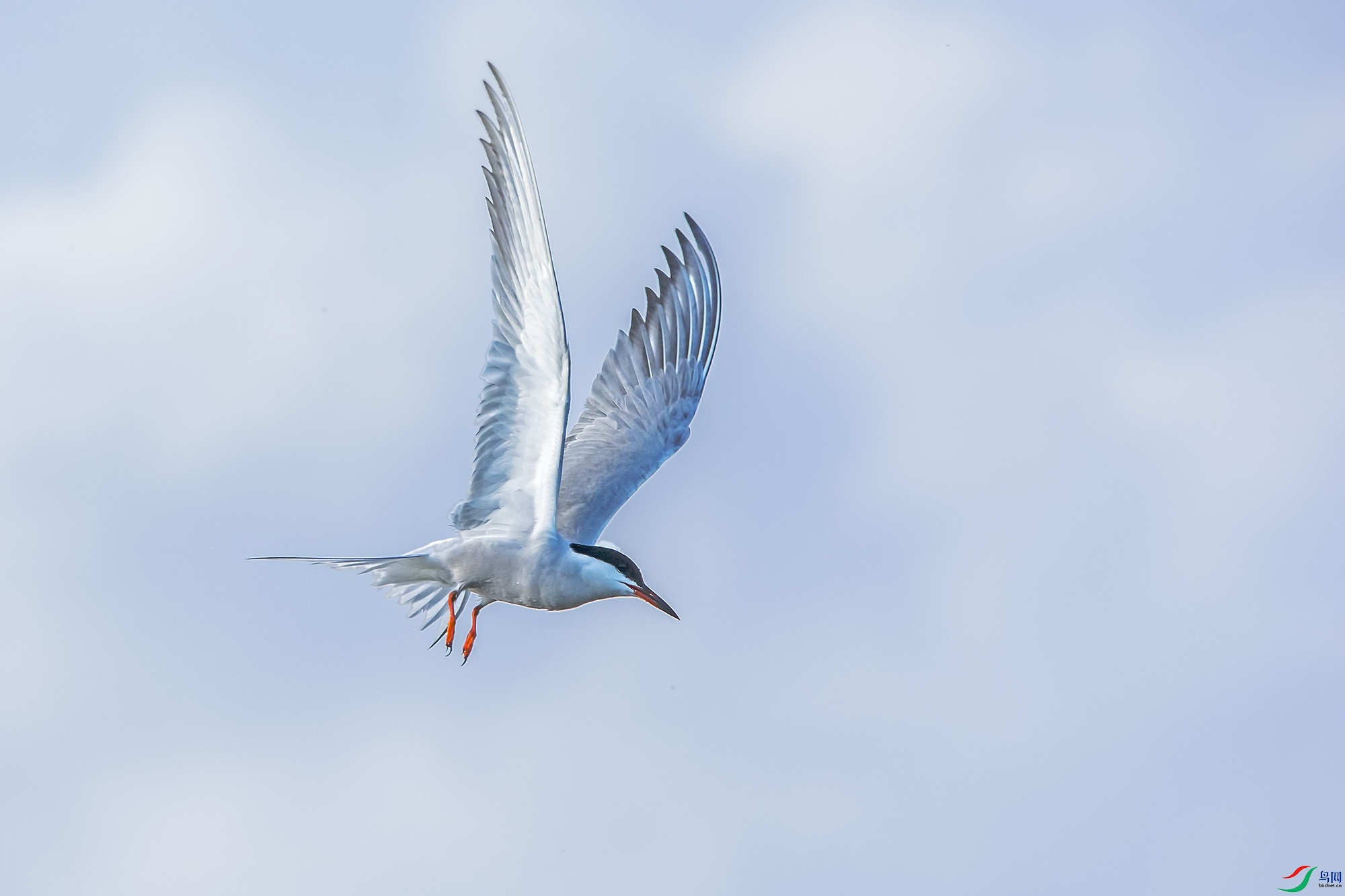 DSC_7128.jpg