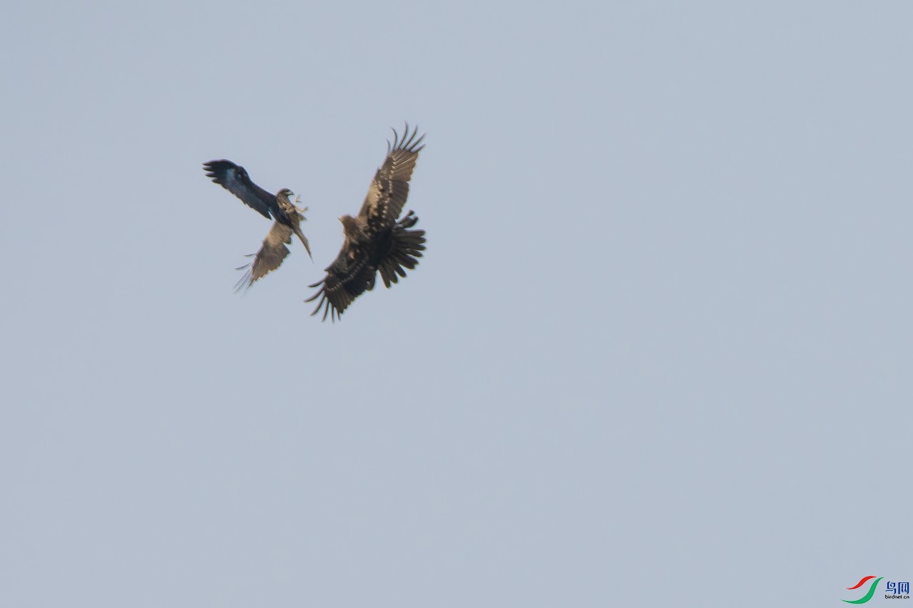 _DSC1451a.jpg