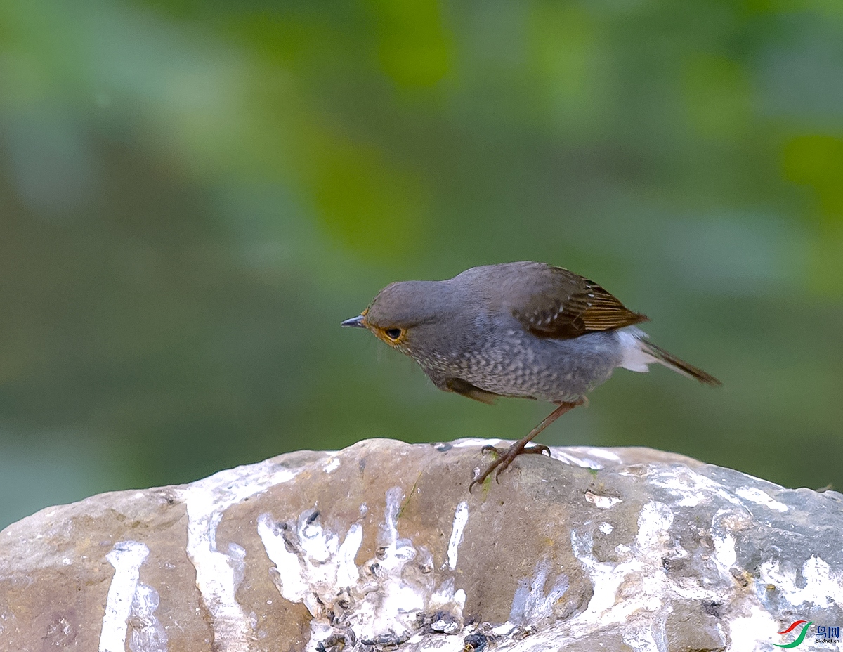 DSC_0920.JPG