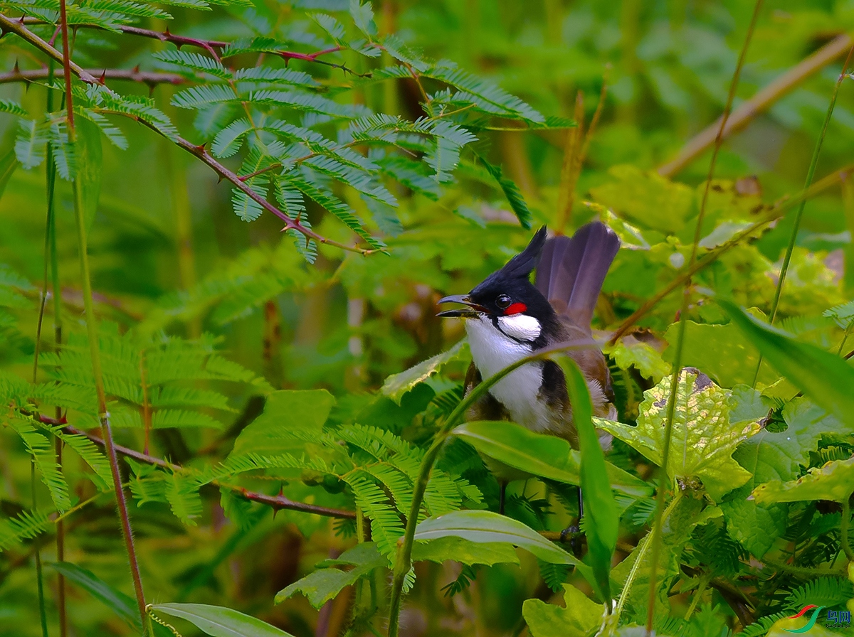DSC_1033.JPG