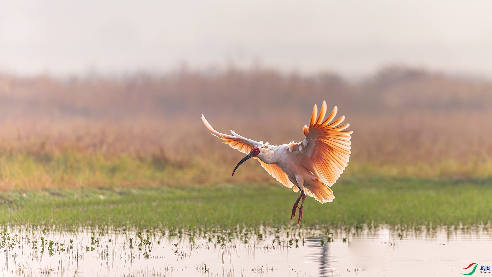 hnxyR221108 (5002)_DxO.jpg