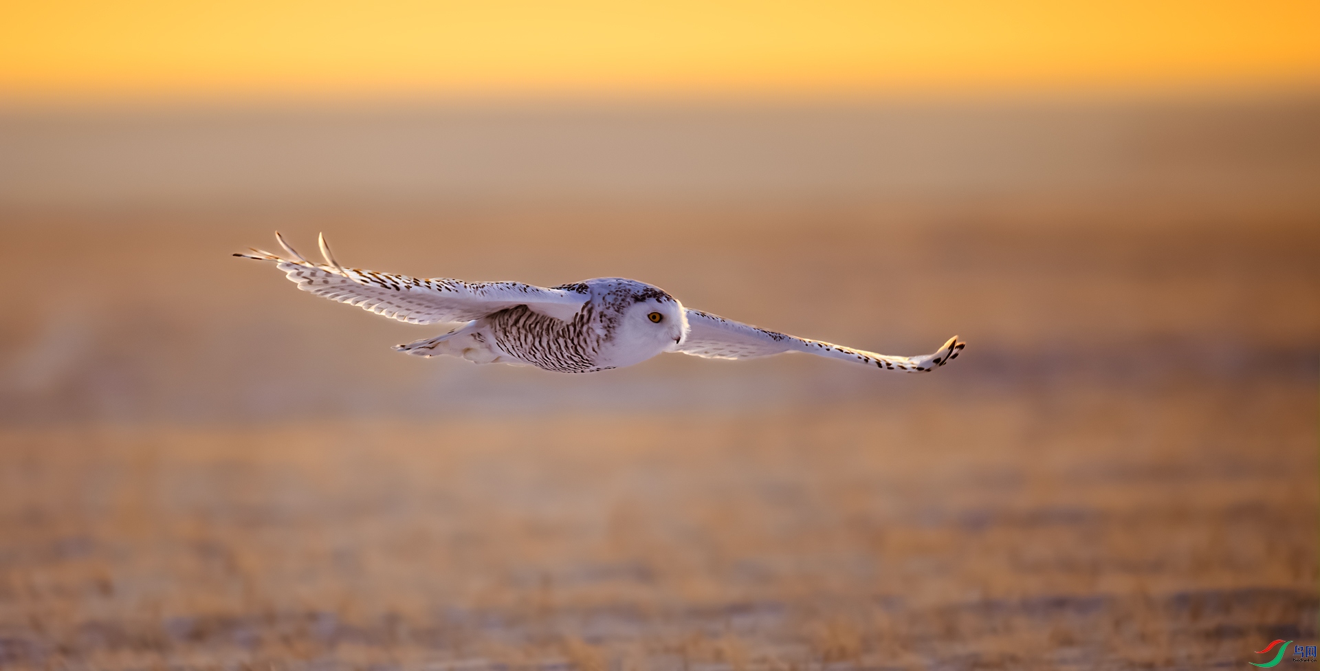 _DSC9024==1w.jpg