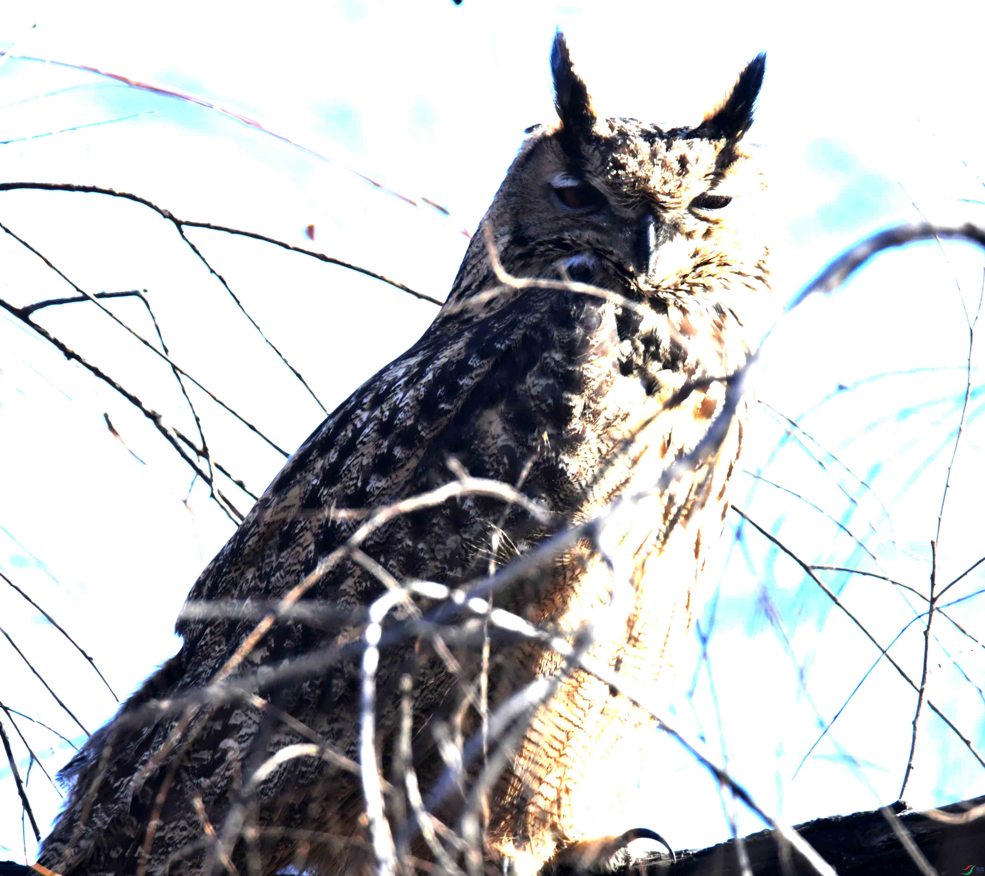 DSC_5727.JPG
