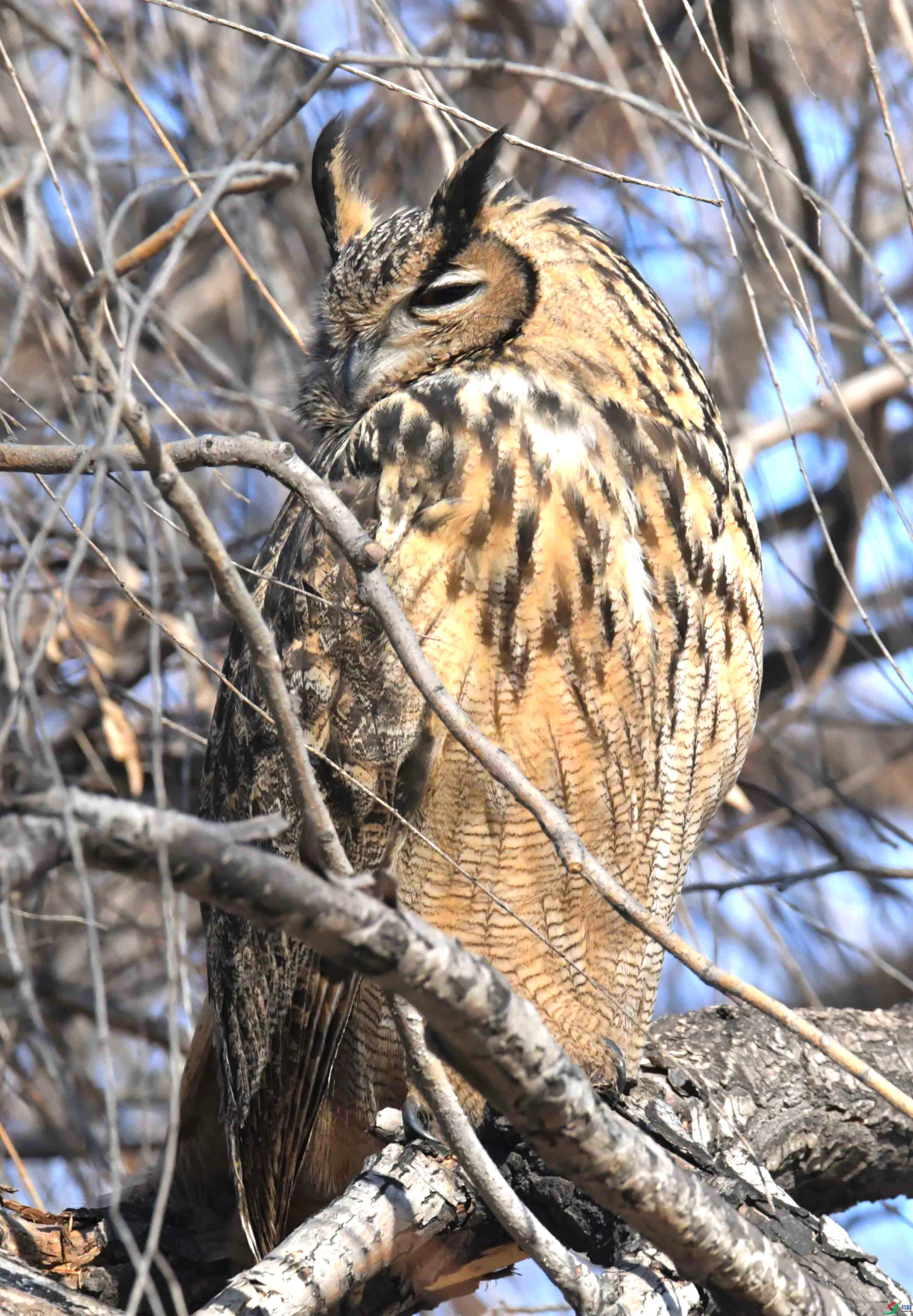 DSC_5900.JPG