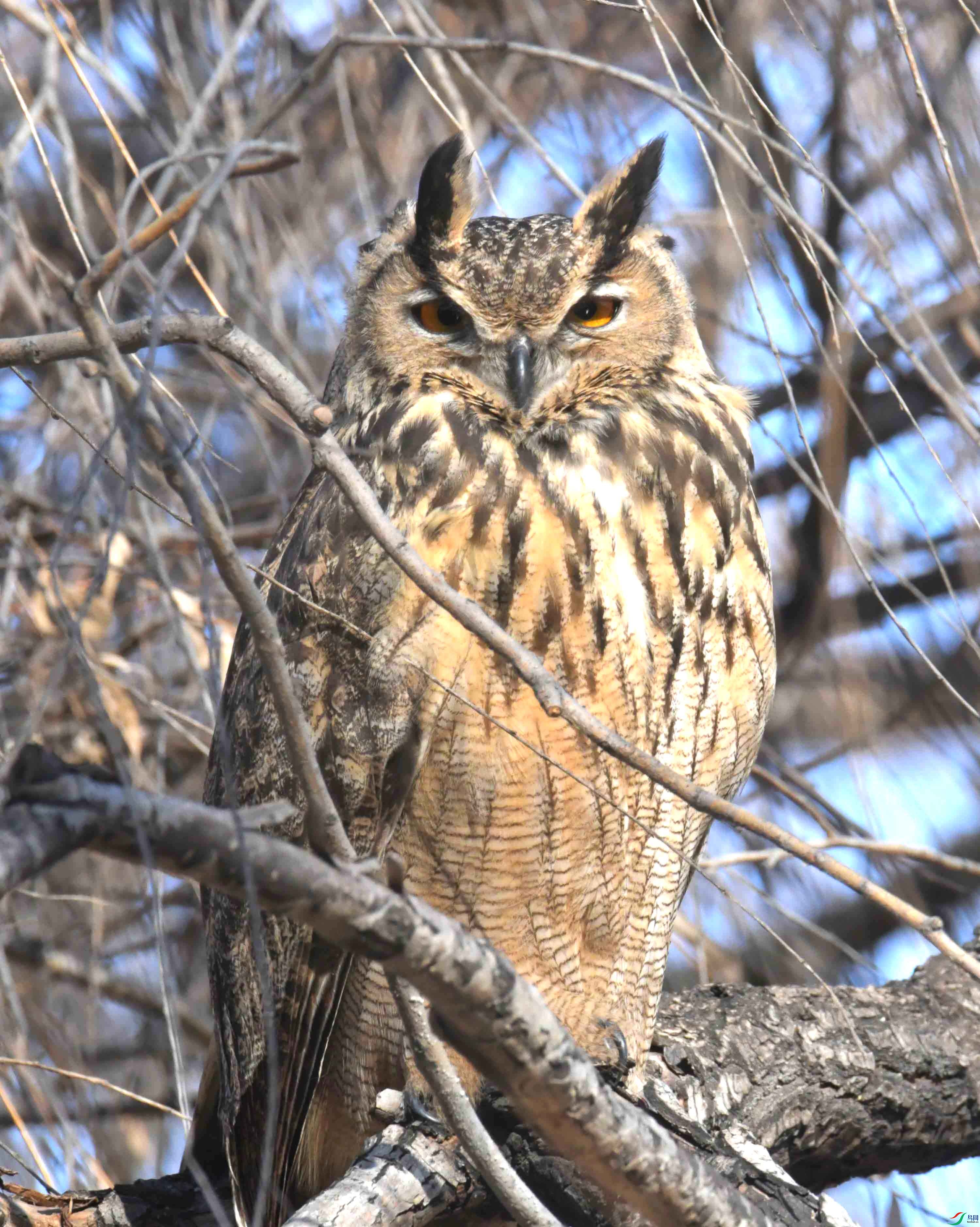 DSC_5906.JPG