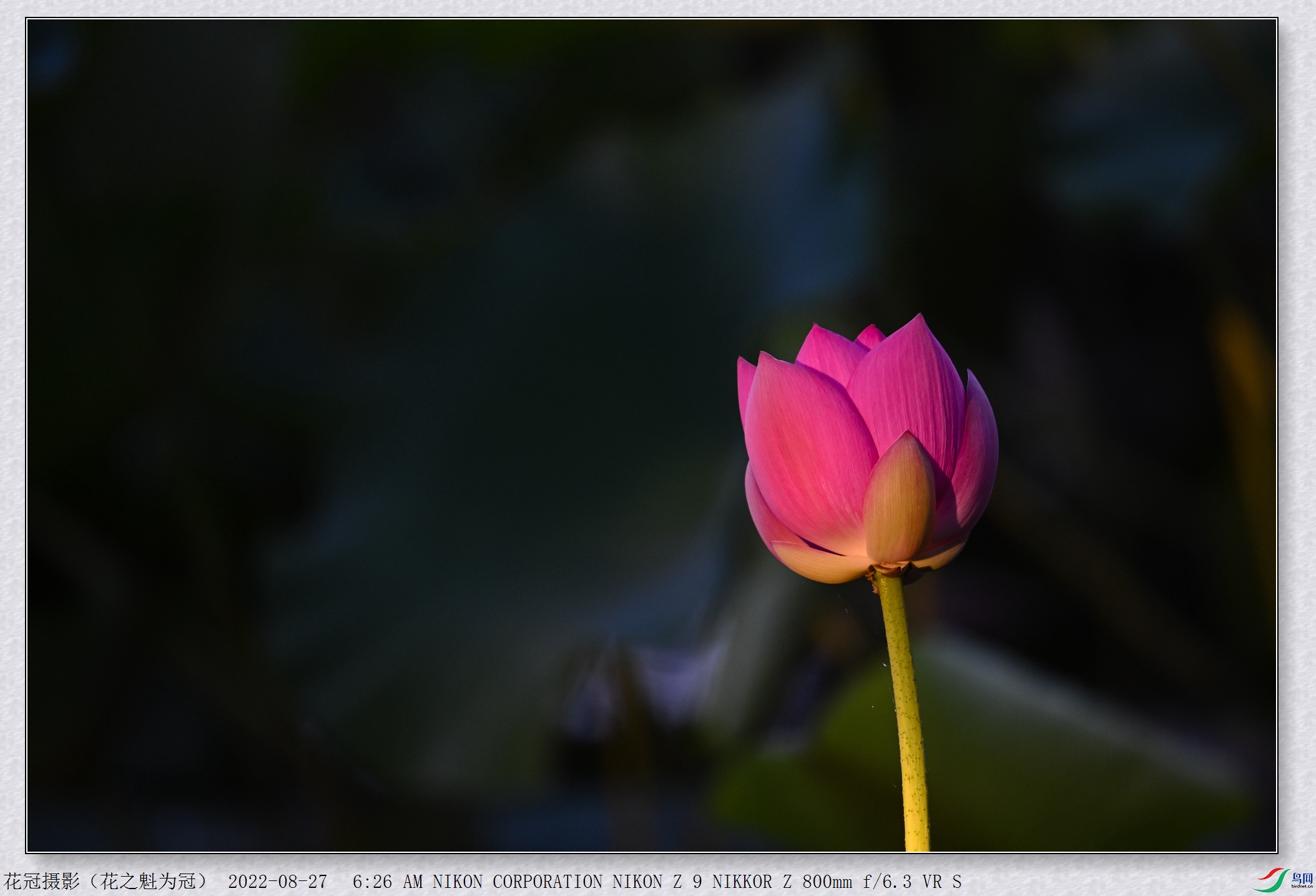 DSC_0410B-1_����.jpg