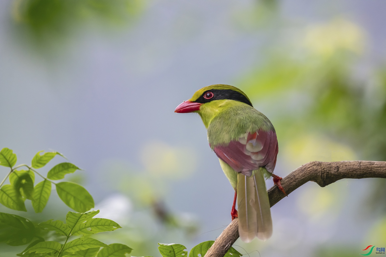 DSC_3595_1.jpg