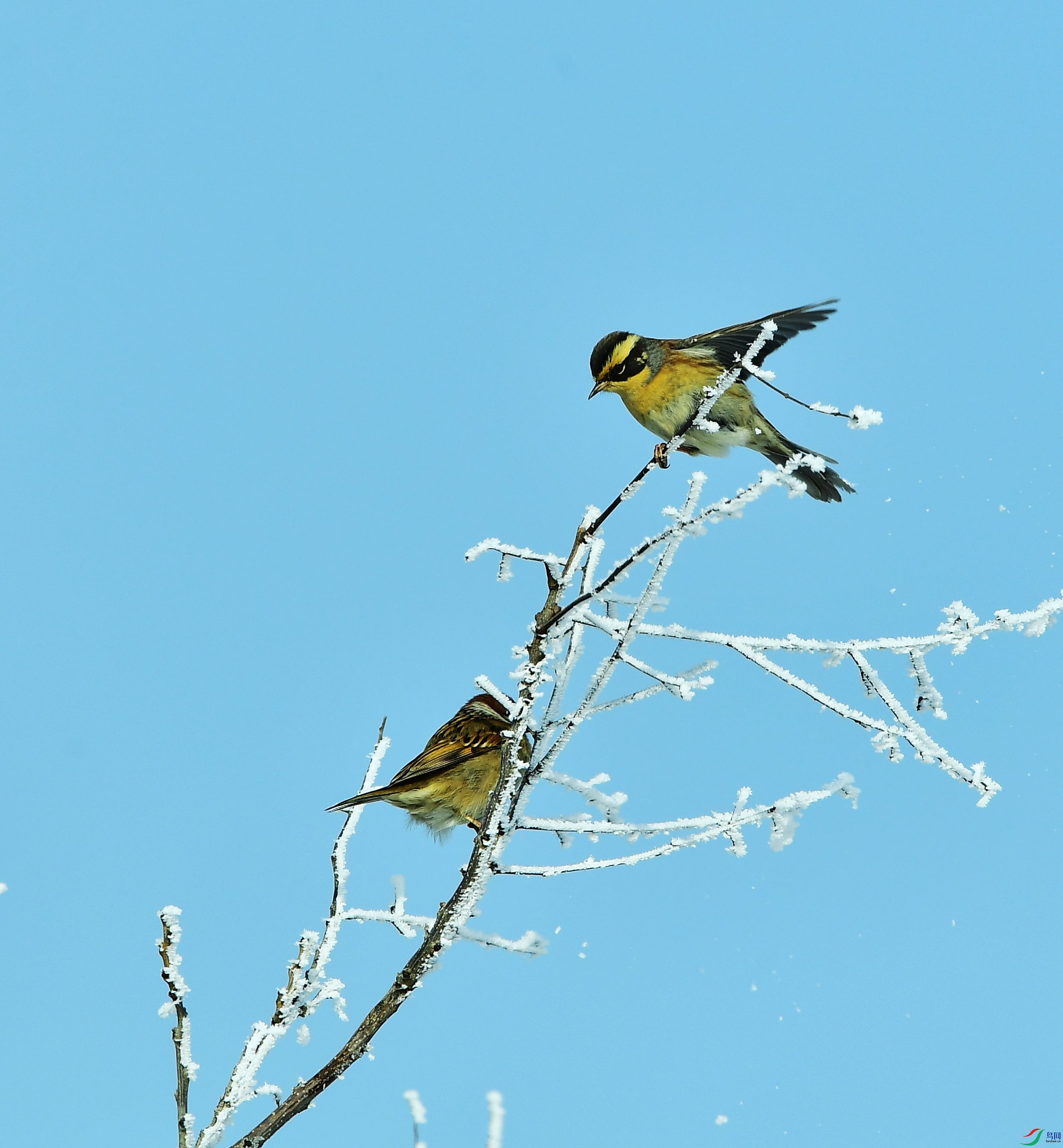 DSC_3558.JPG