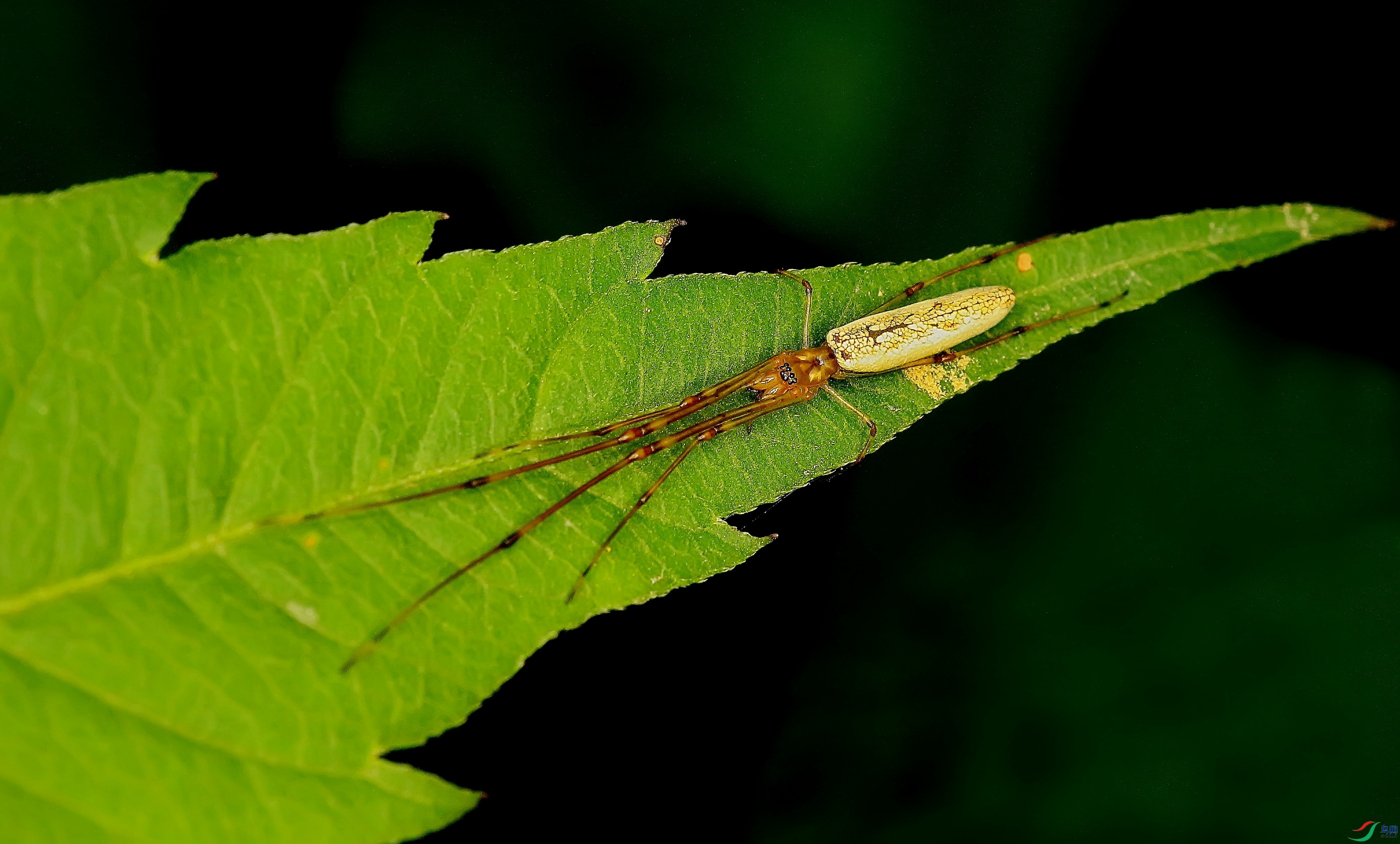 �����]�� (1)-2.JPG