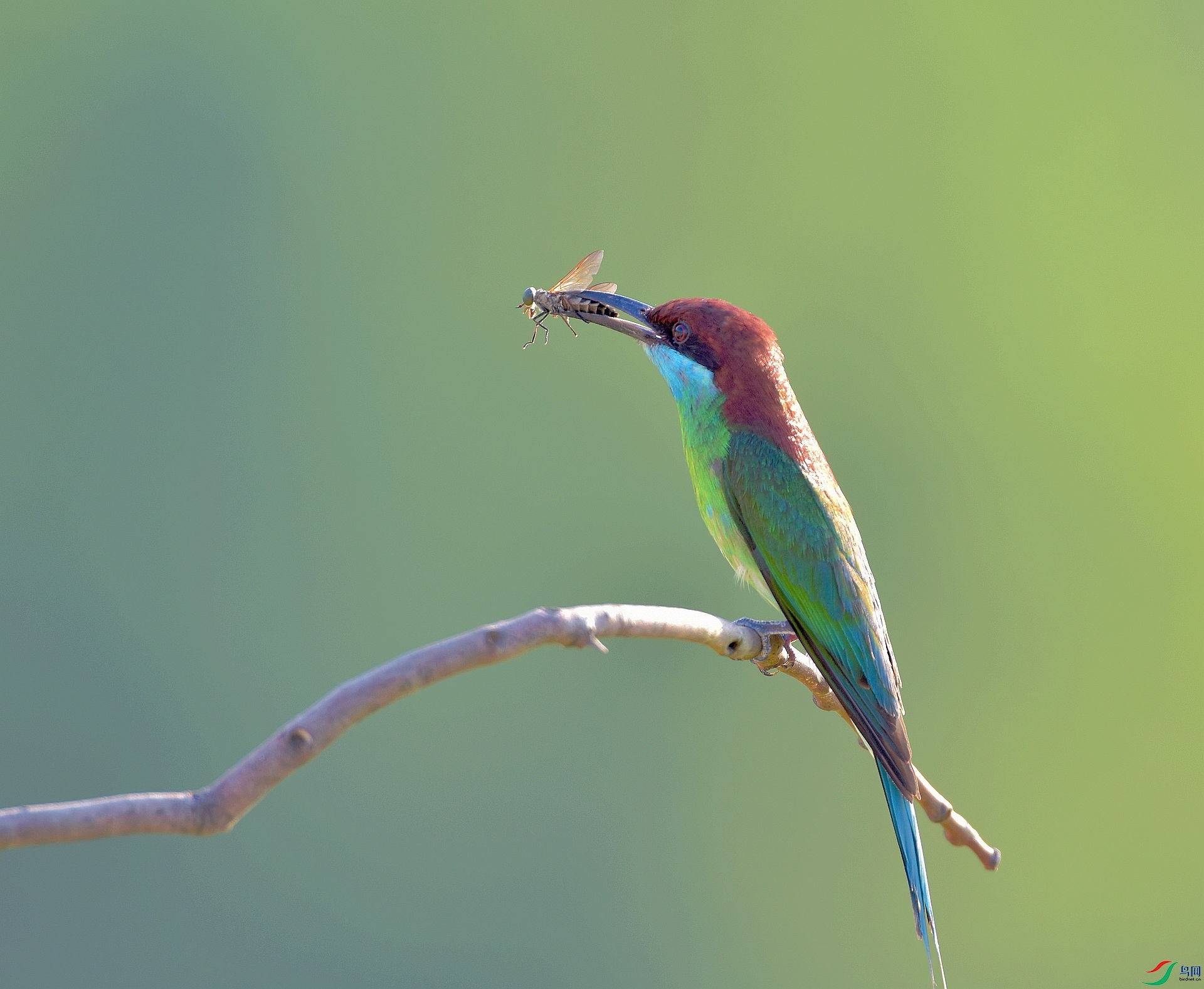 D72_8525.jpg