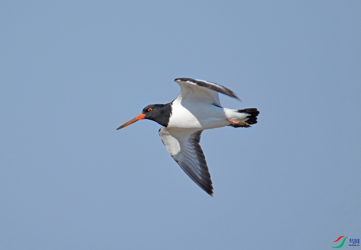 DSC_0003.jpg