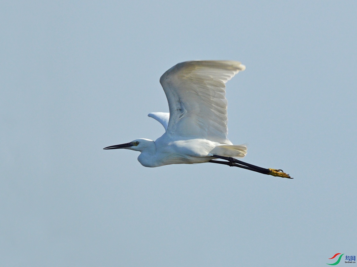 DSC_0011.jpg
