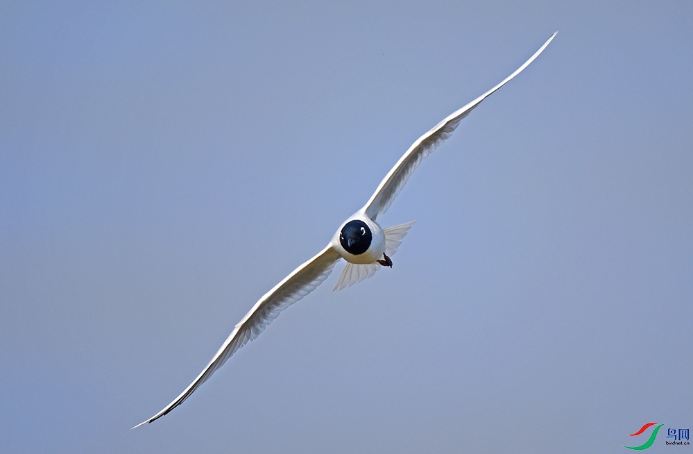DSC_2500.jpg