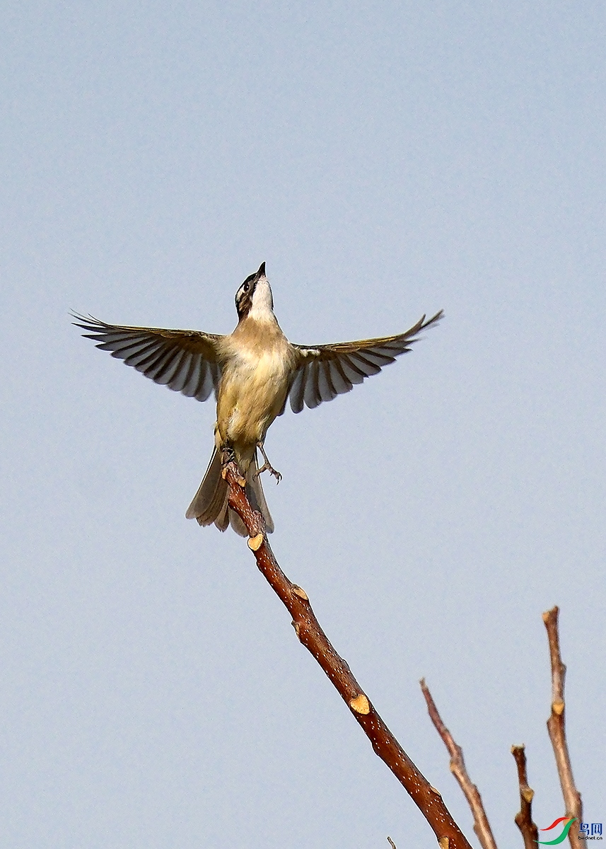 DSCF0351.JPG