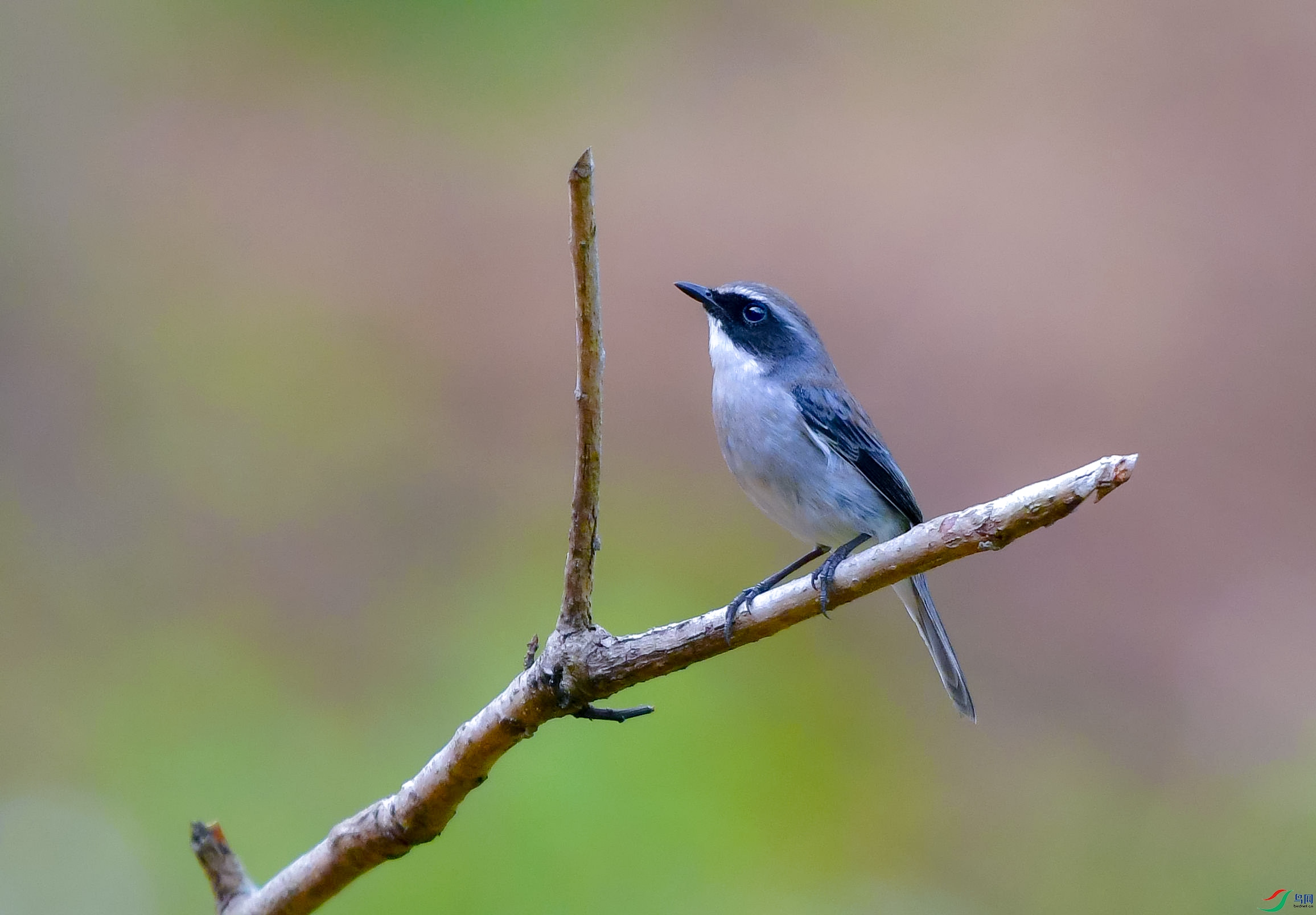 DSC_0694.JPG