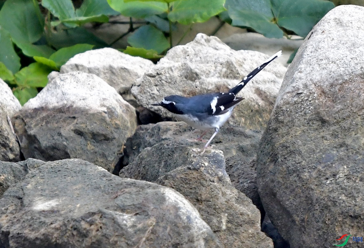 DSC_6159.JPG