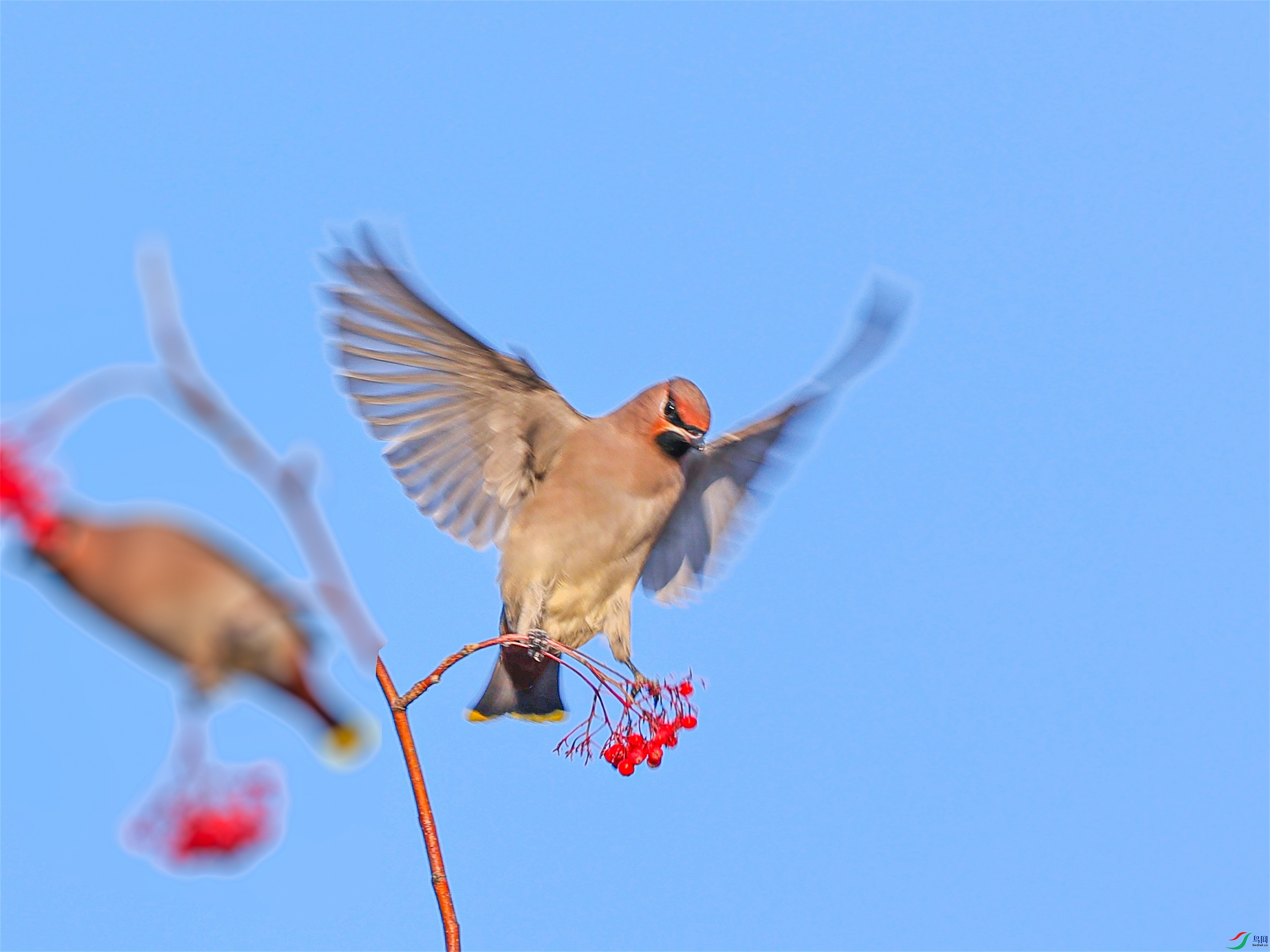 1K3A2586 ����1.jpg