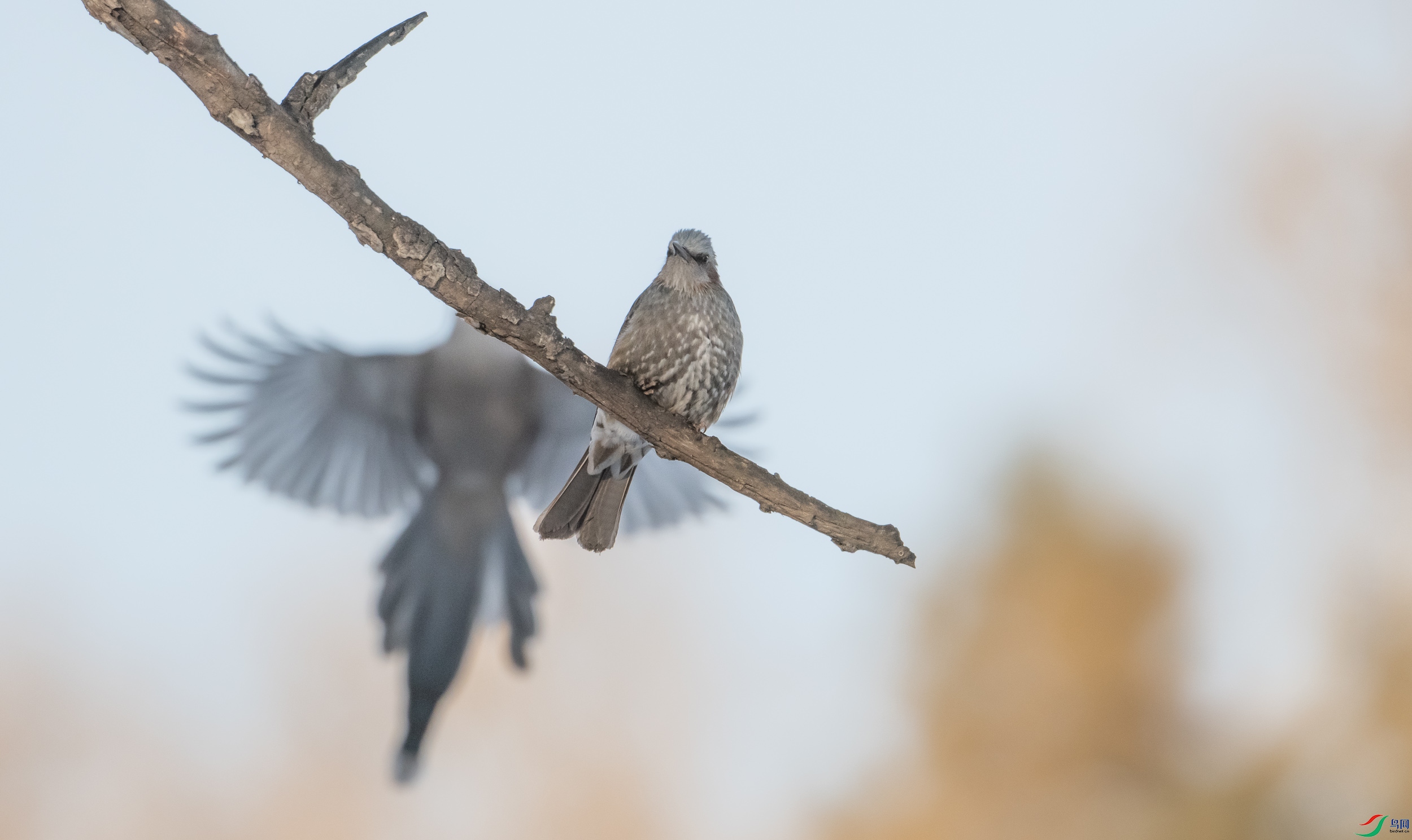 �����̽���