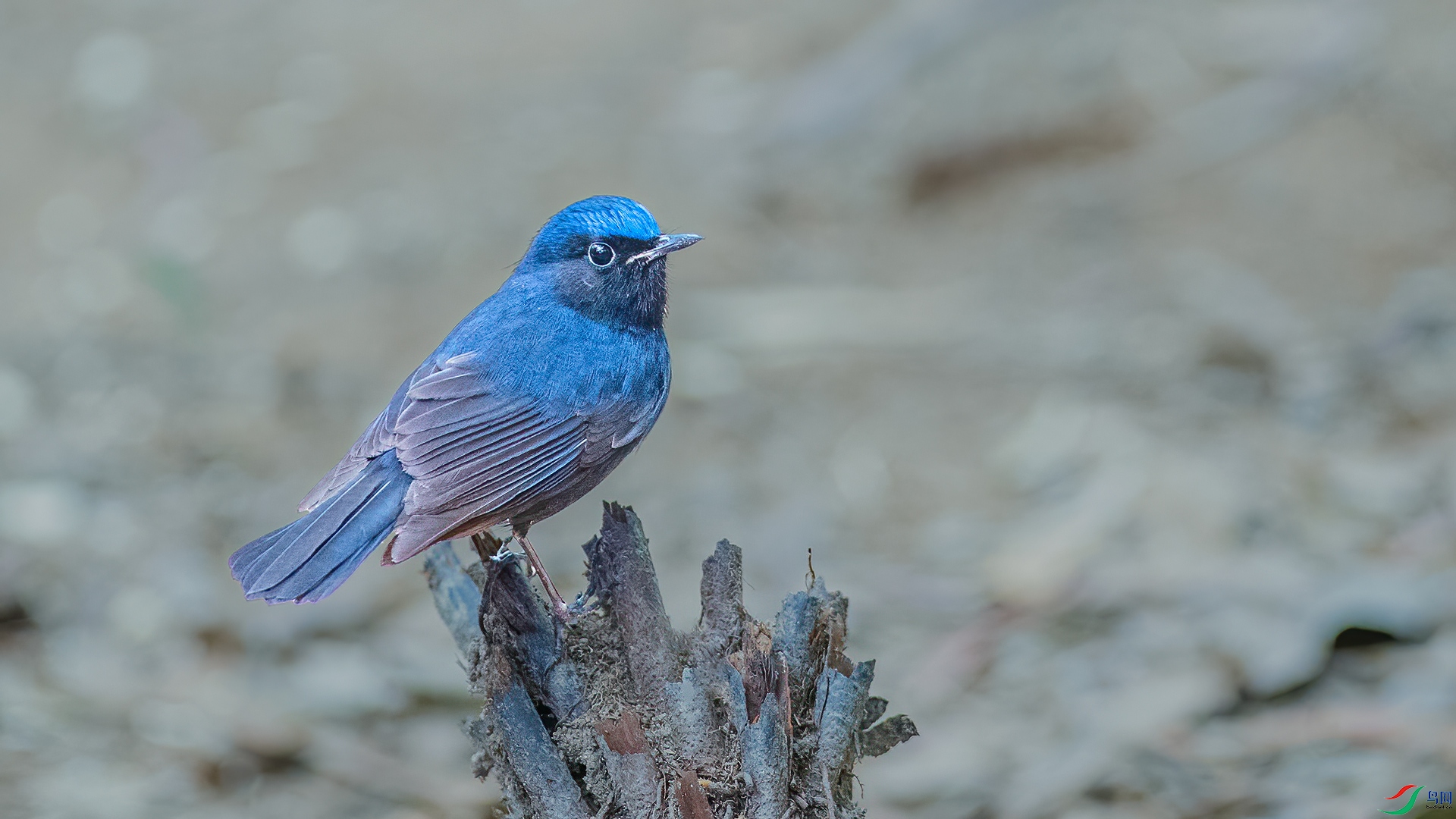 DSC_6917.jpg