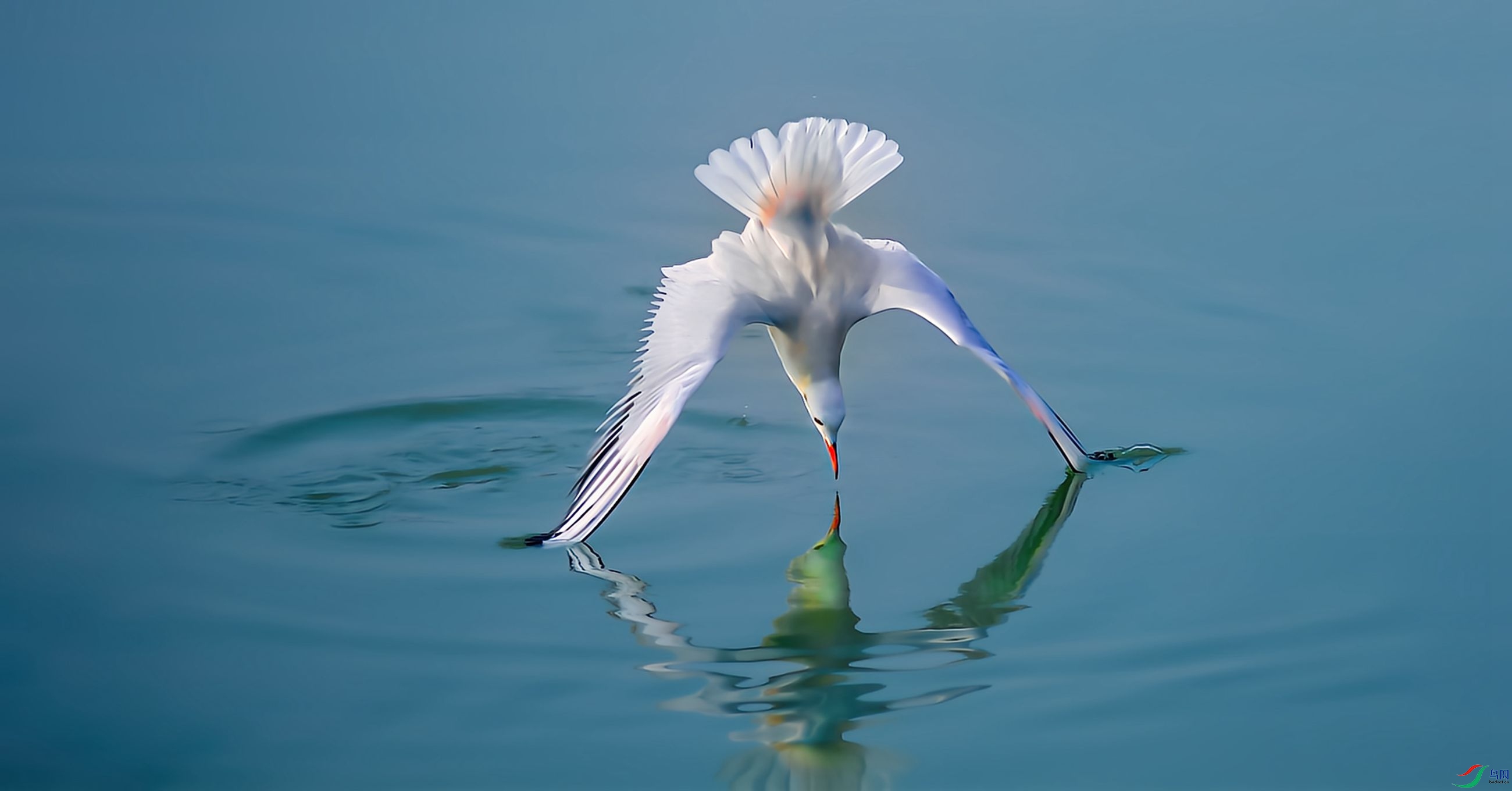 ������֨D�D�D�Dϸ��Ÿ