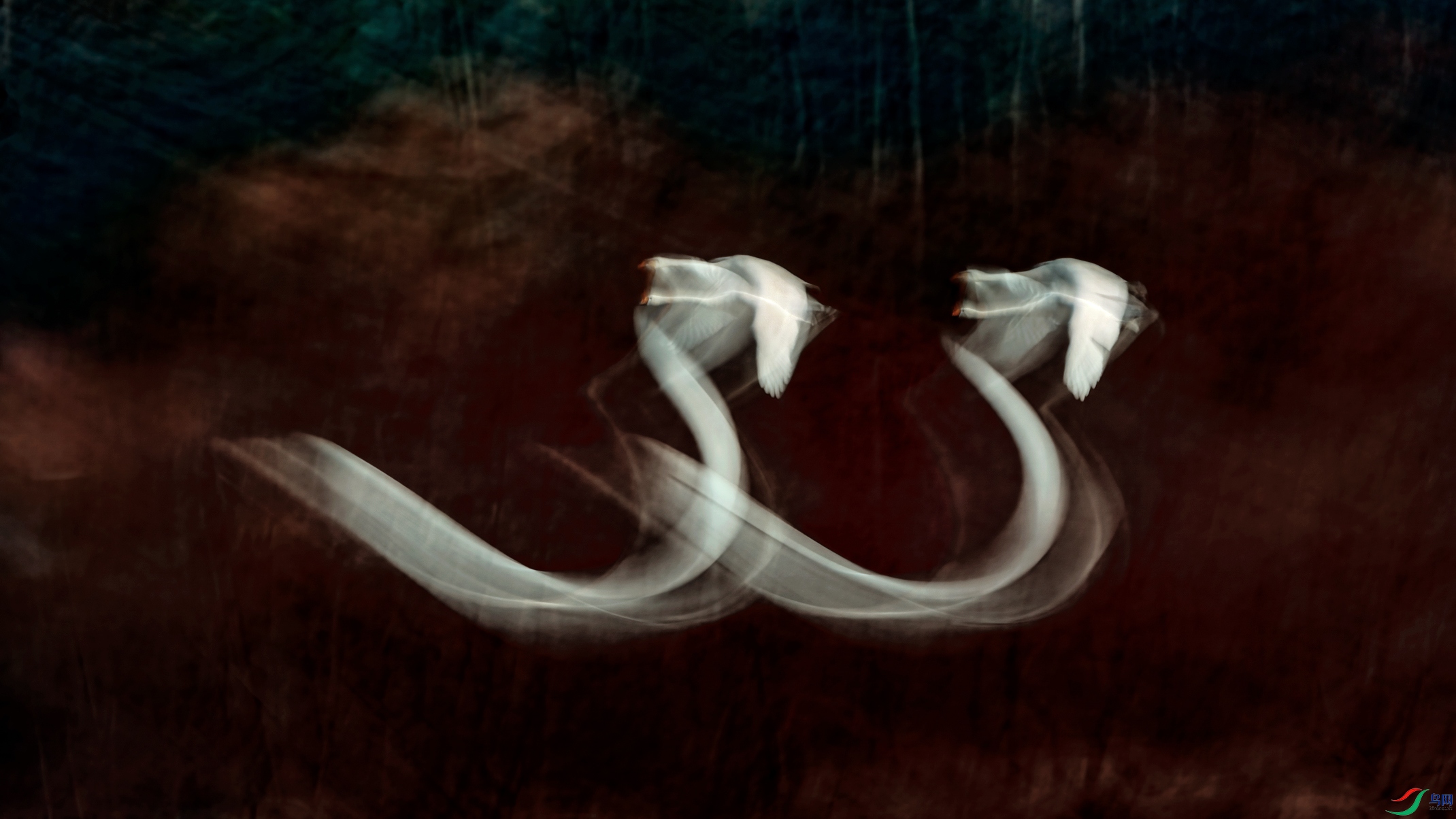 DSC02114.jpg