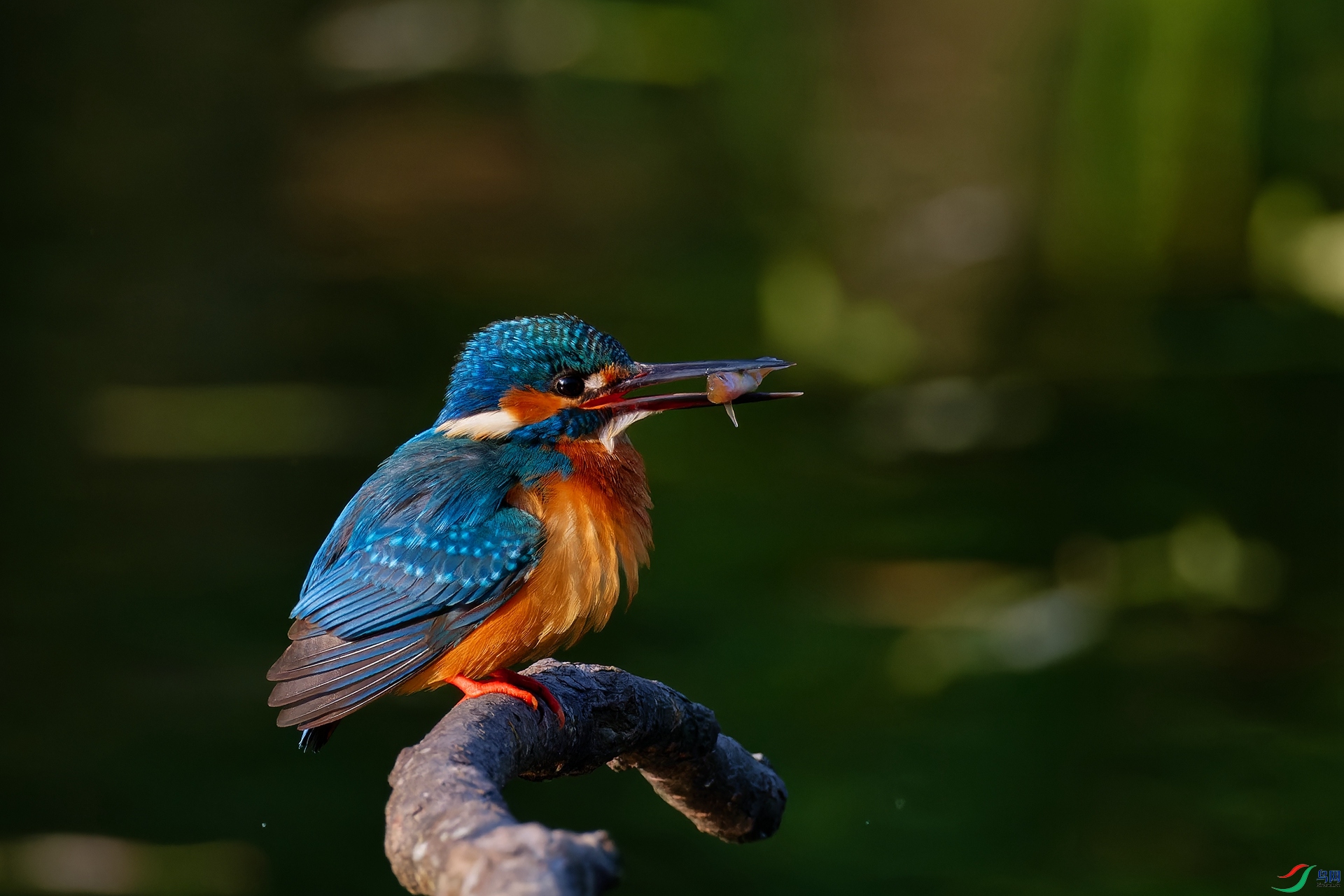 DSCF2831_DxO - ����.jpg