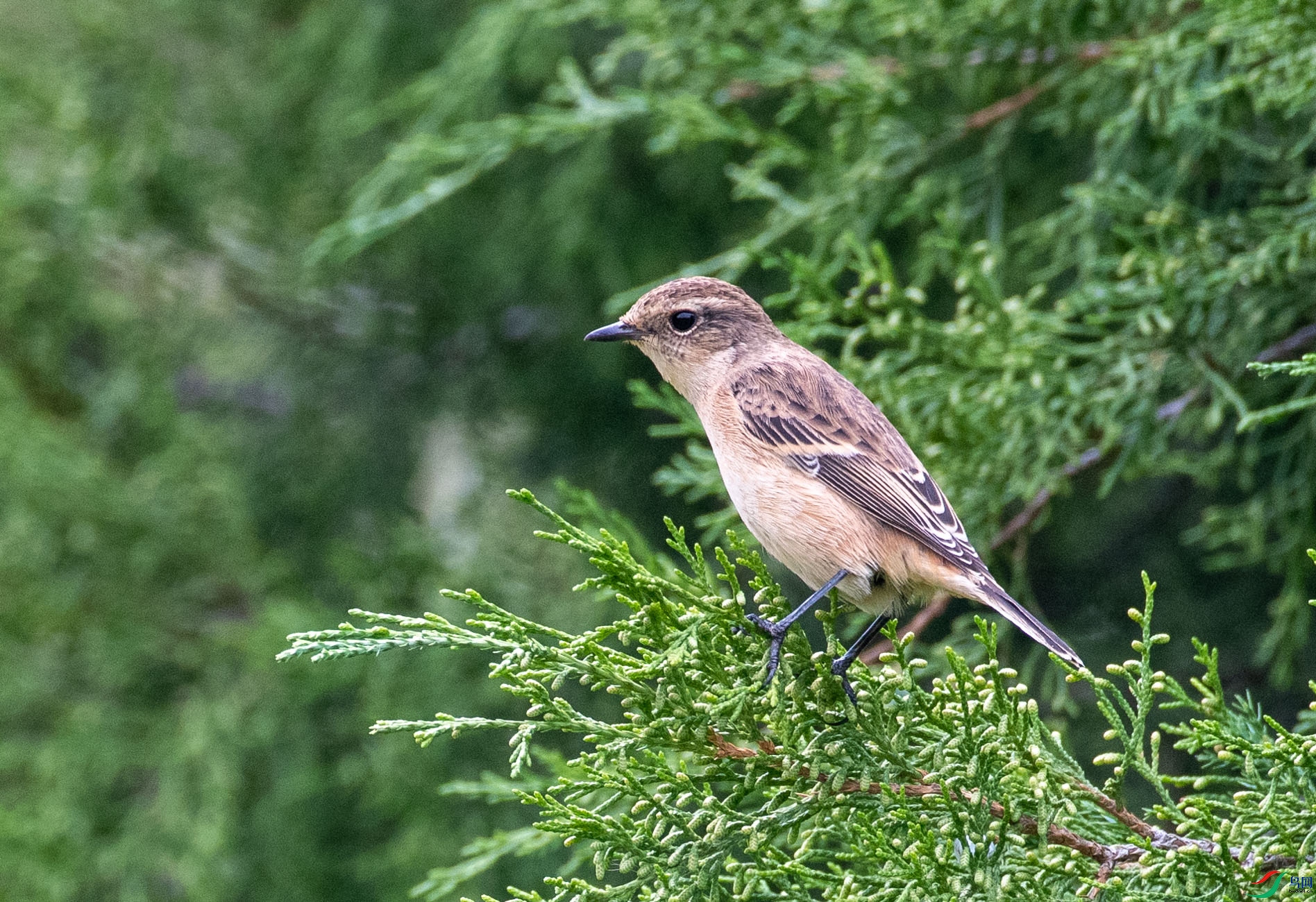 DSC_5660.jpg