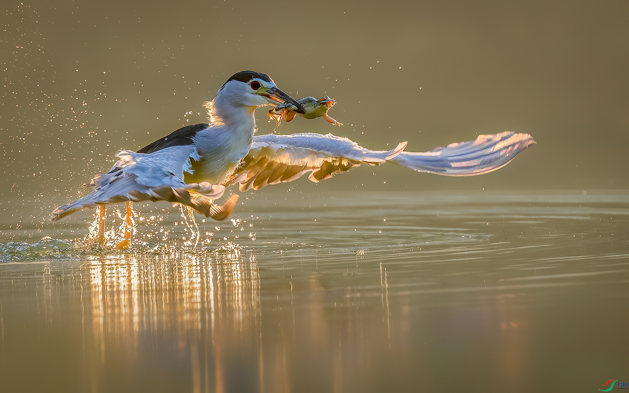 DSC_9428 ����L ���� 2.jpg