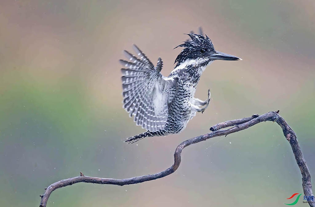 �����㹷����Ȥ����10-5  ���ߣ��¹��  18983520116.jpg