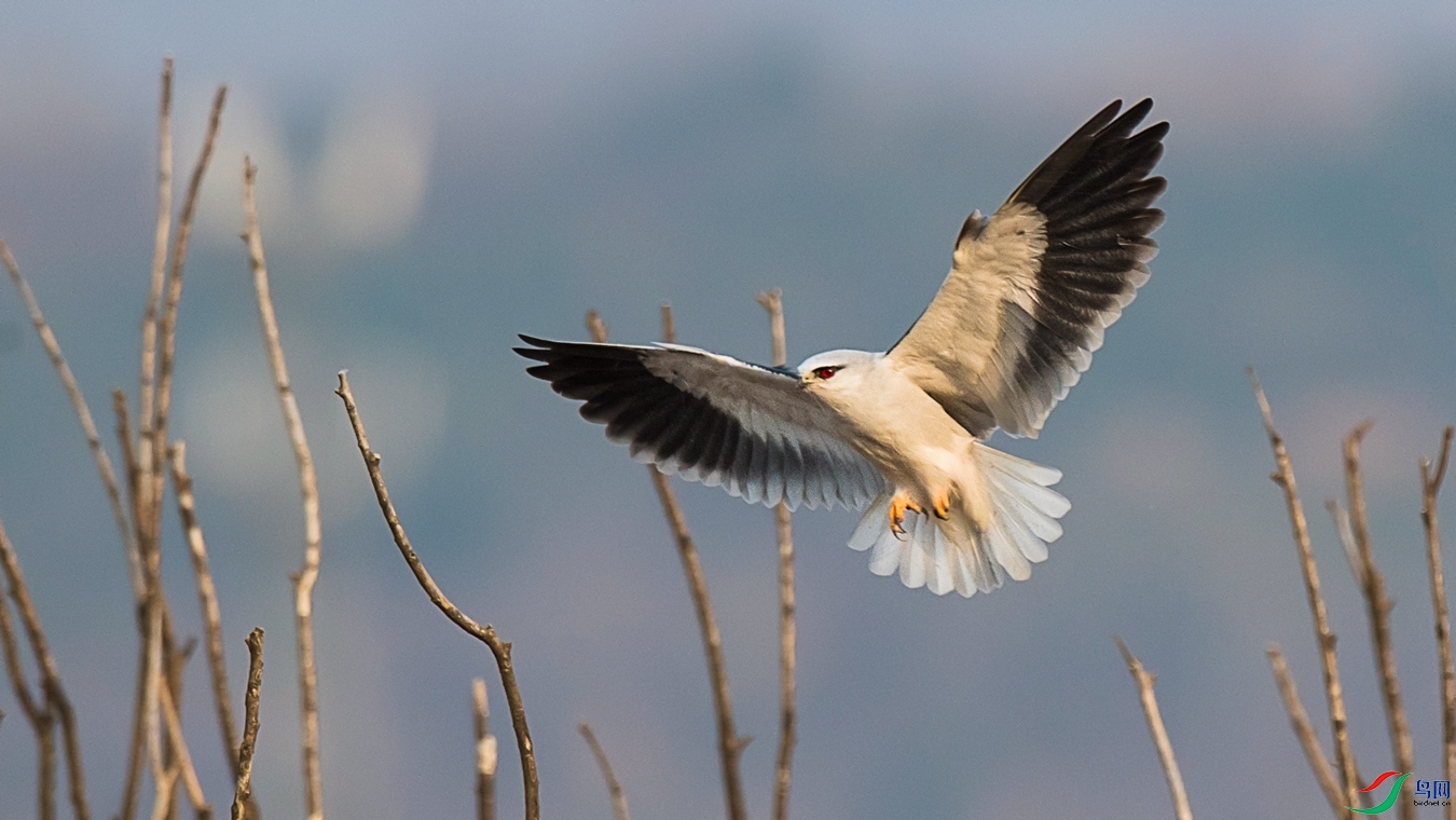 DSC_0986 - ����.jpg